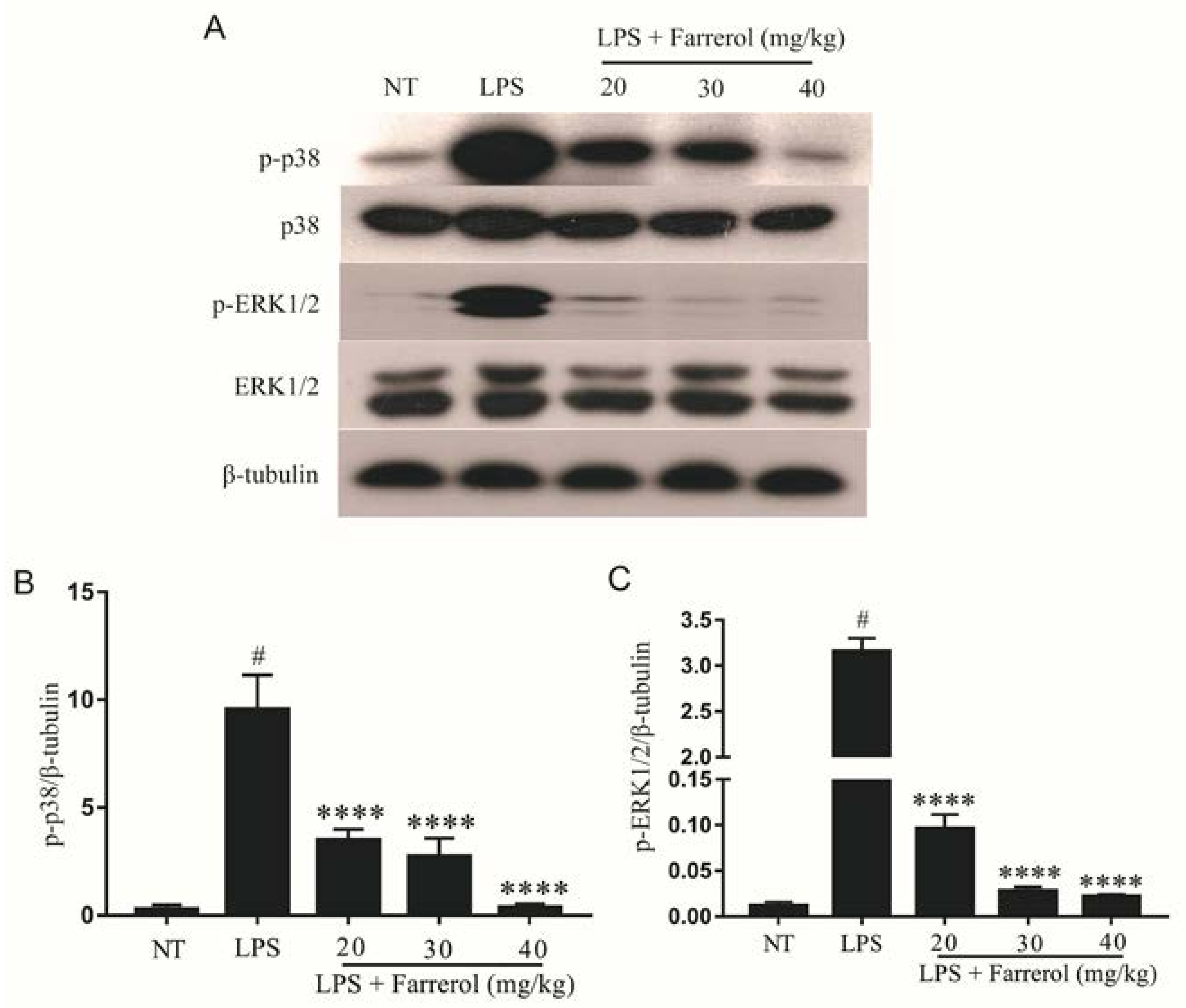 Ijms 19 01770 g006 550