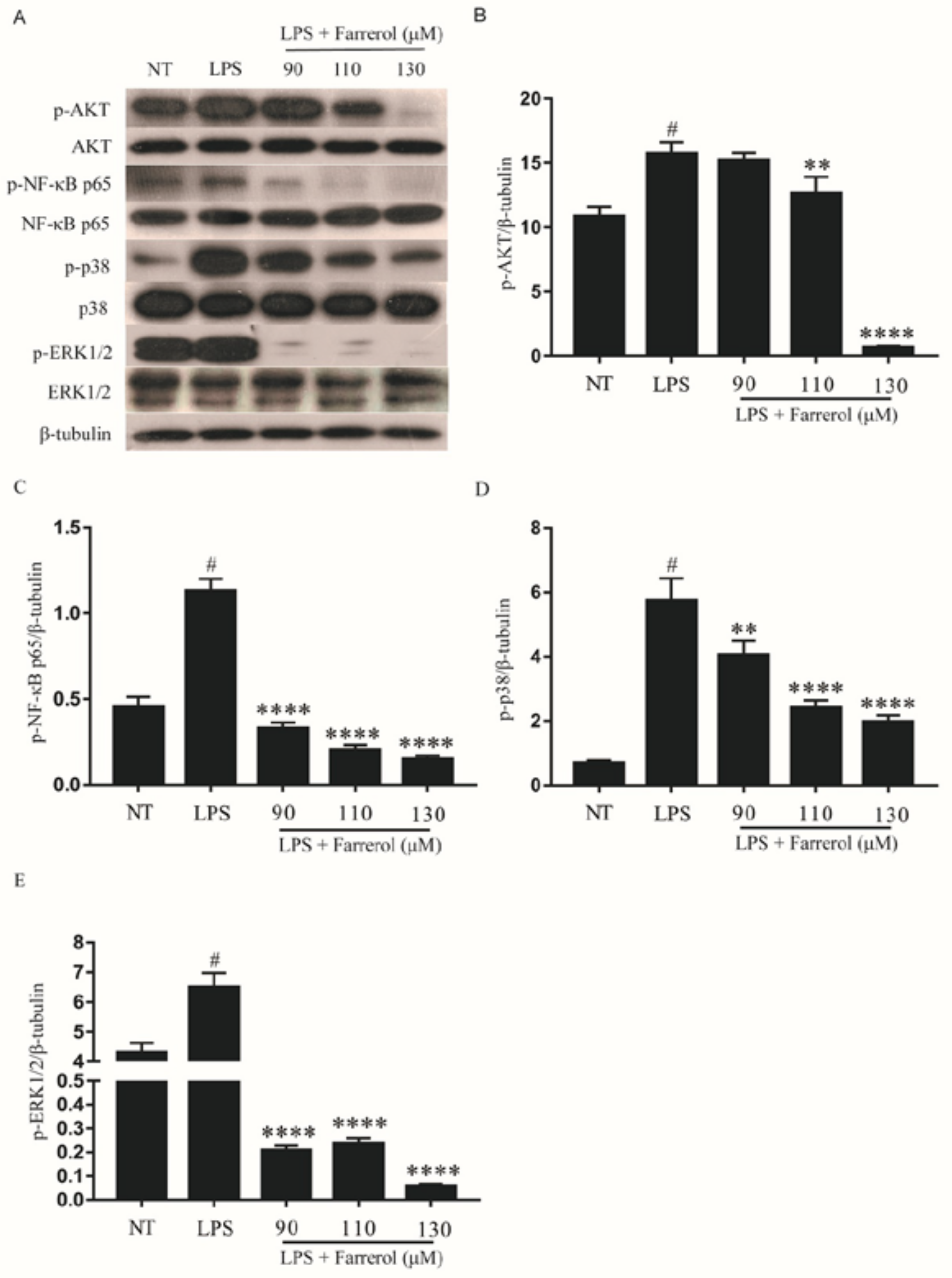 Ijms 19 01770 g009 550