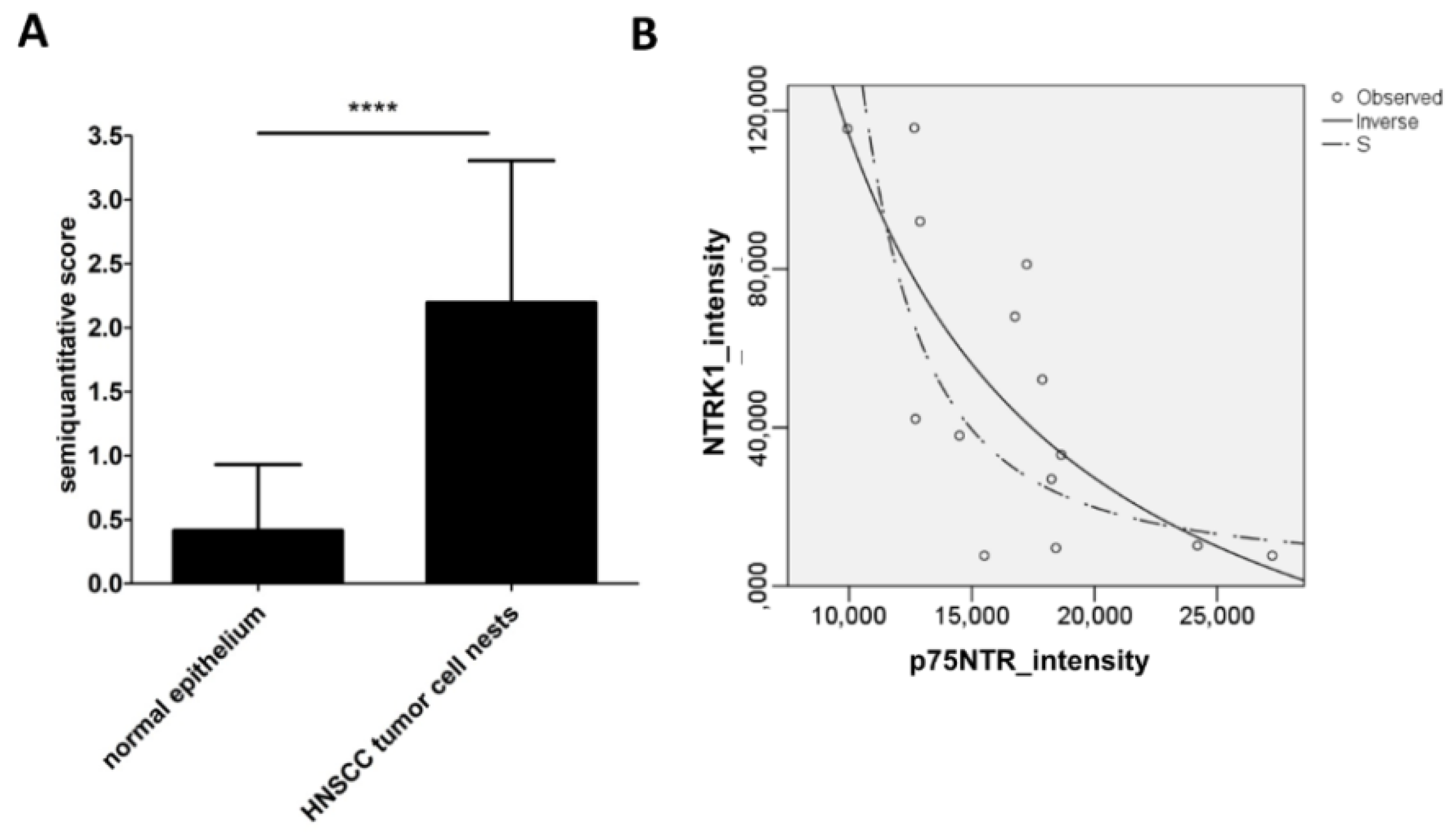 Ijms 19 01771 g004 Ijms 19 01771 g004