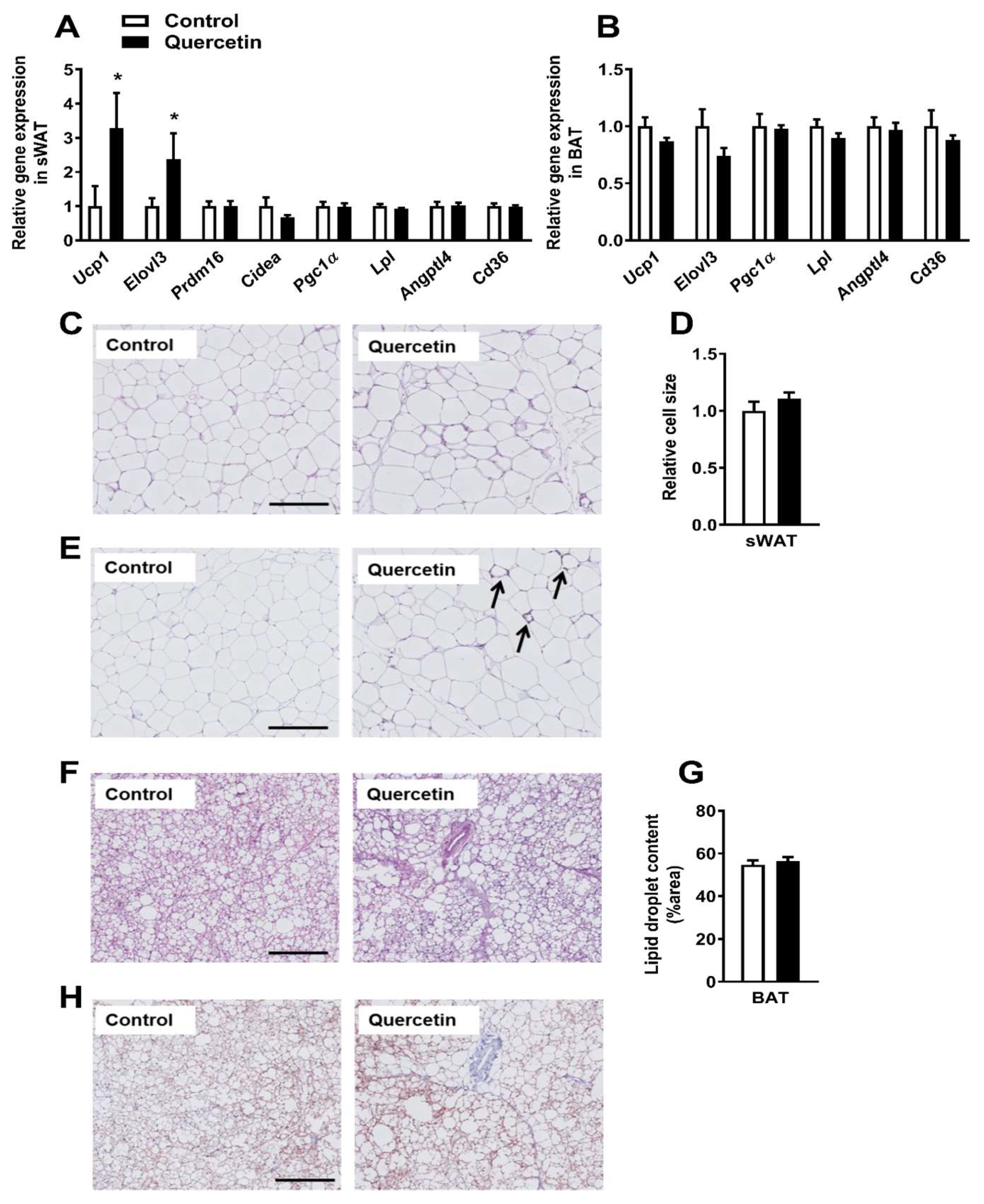 Ijms 19 01786 g003 Ijms 19 01786 g003