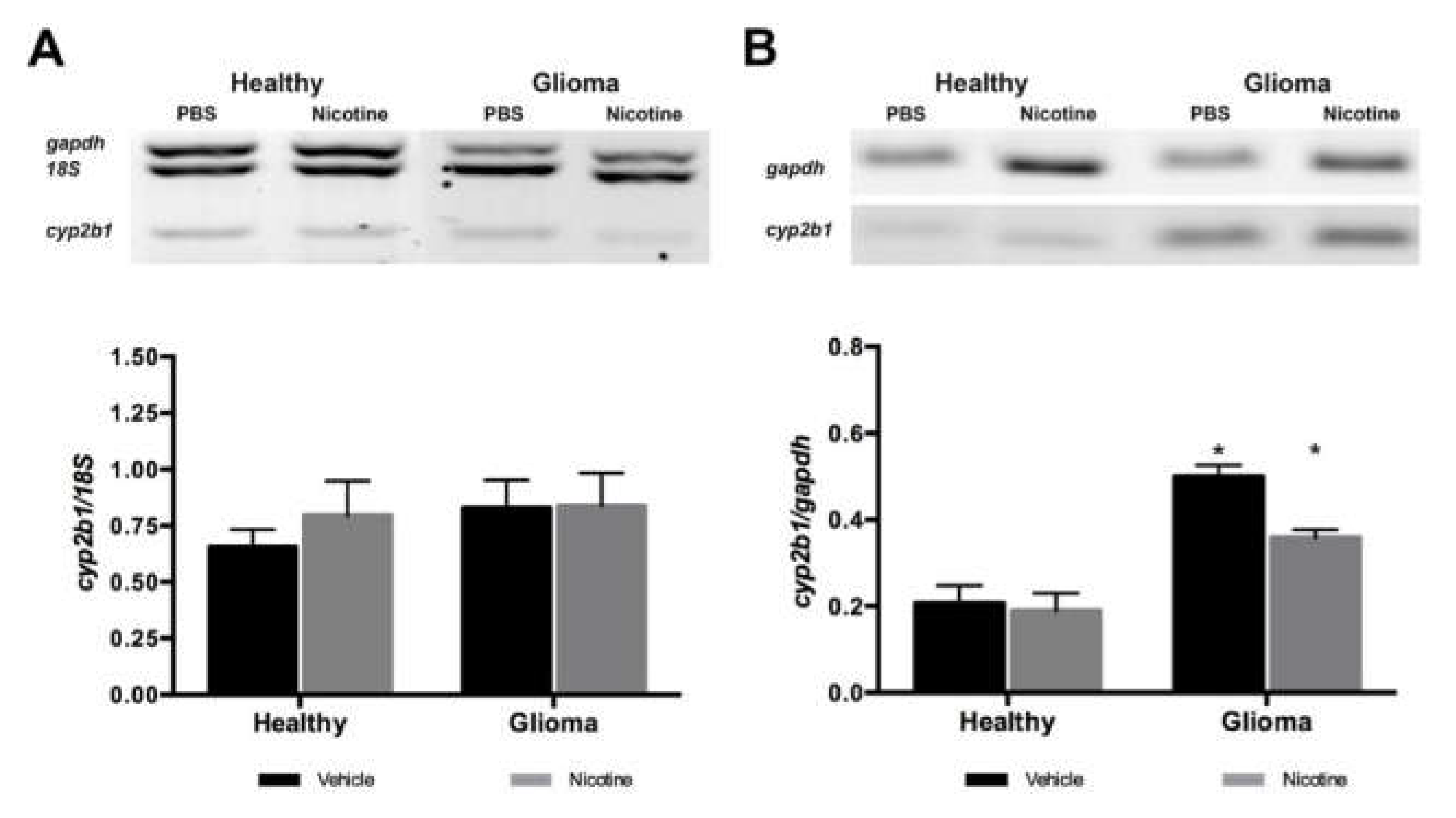 Ijms 19 01790 g002 Ijms 19 01790 g002