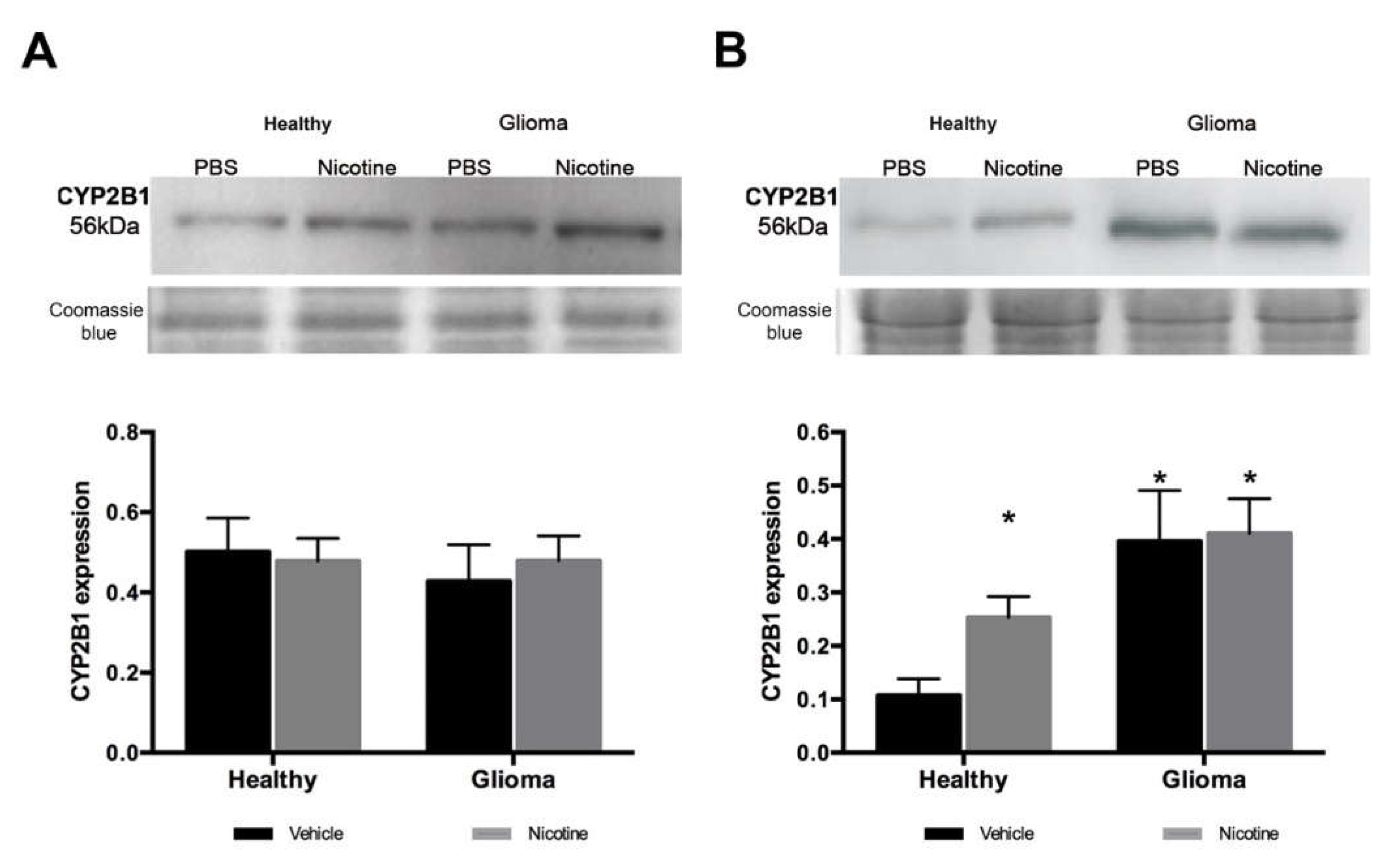 Ijms 19 01790 g003 Ijms 19 01790 g003