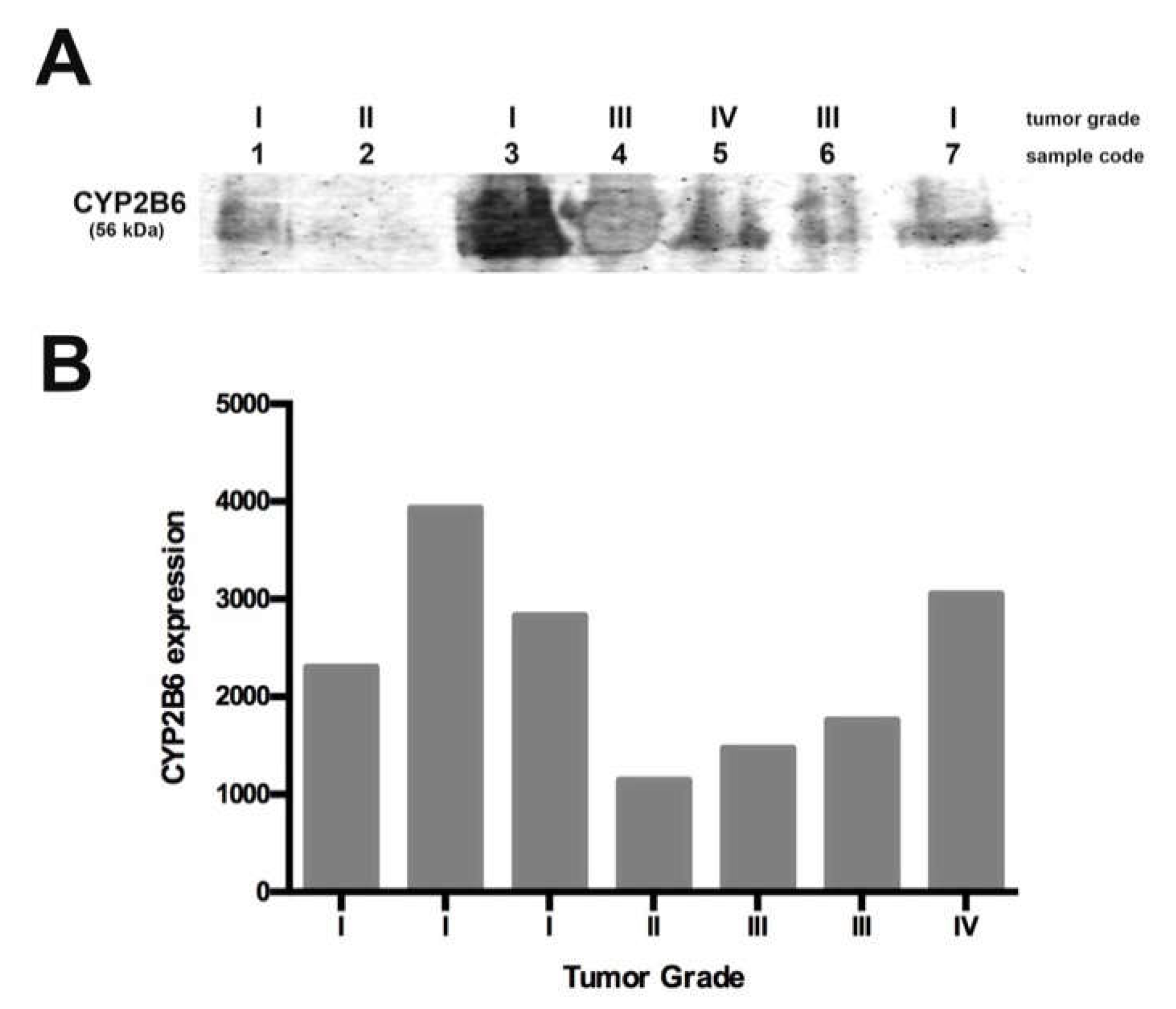 Ijms 19 01790 g005 Ijms 19 01790 g005