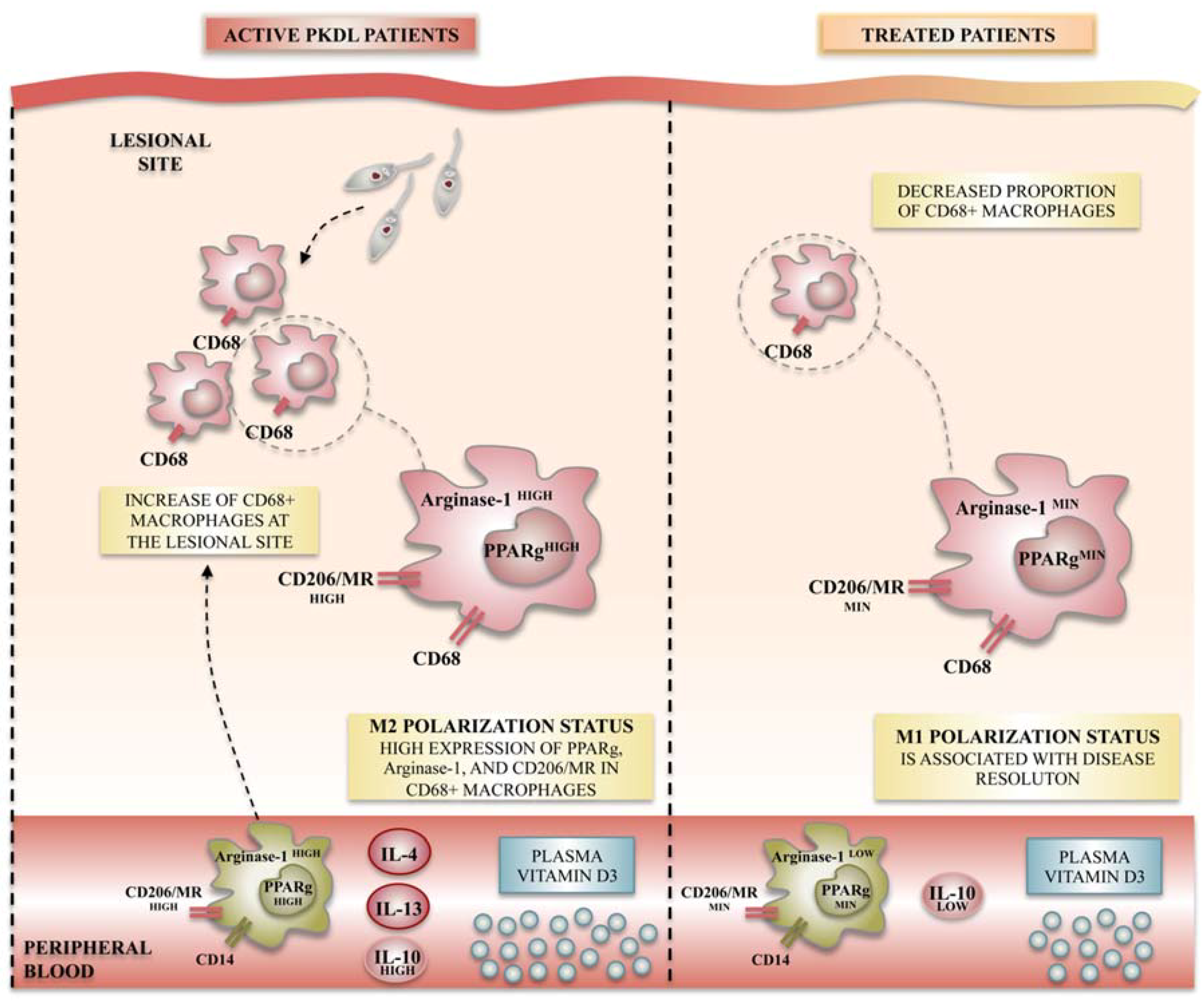 Ijms 19 01801 g002 Ijms 19 01801 g002
