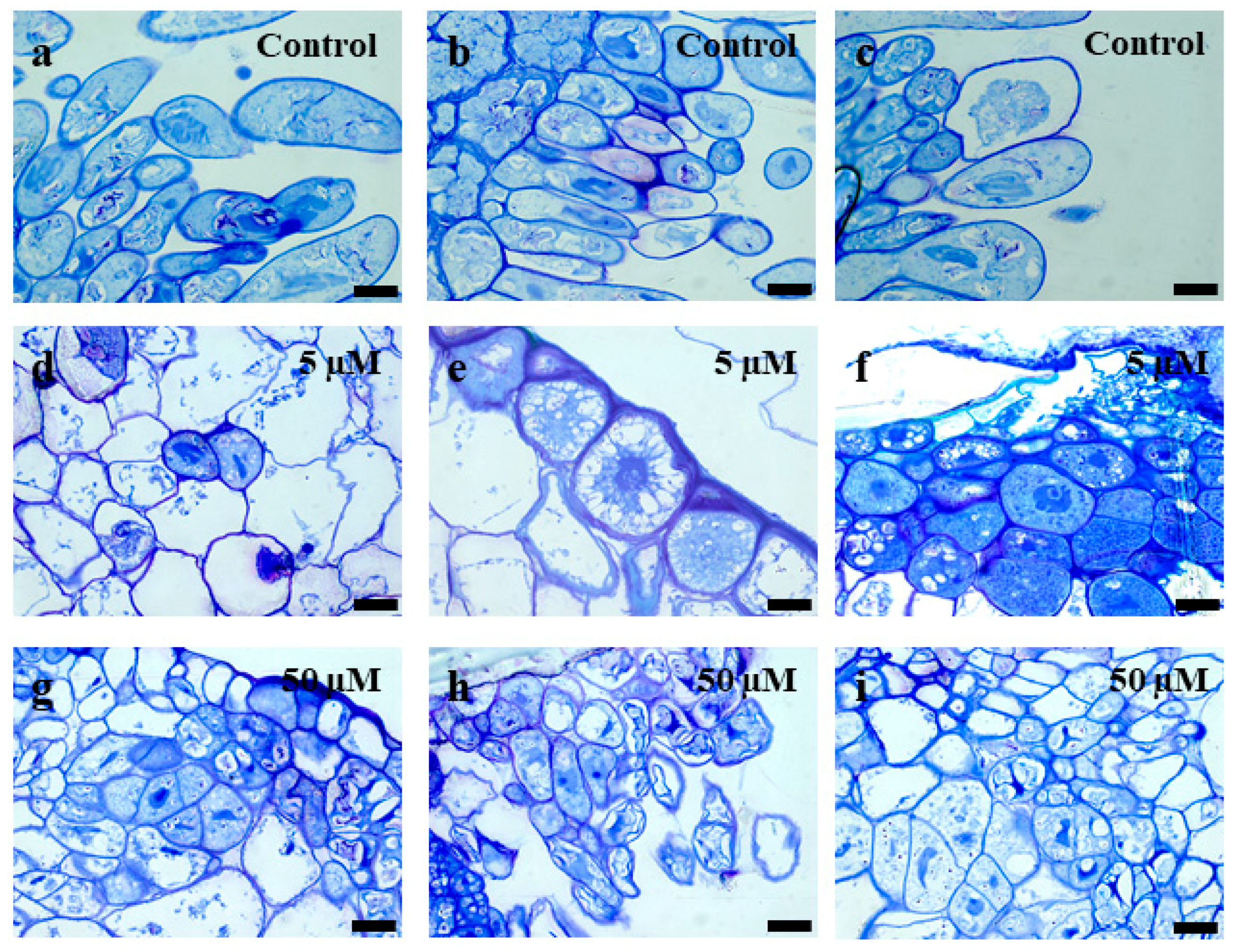 Ijms 19 01806 g0a1 Ijms 19 01806 g0a1