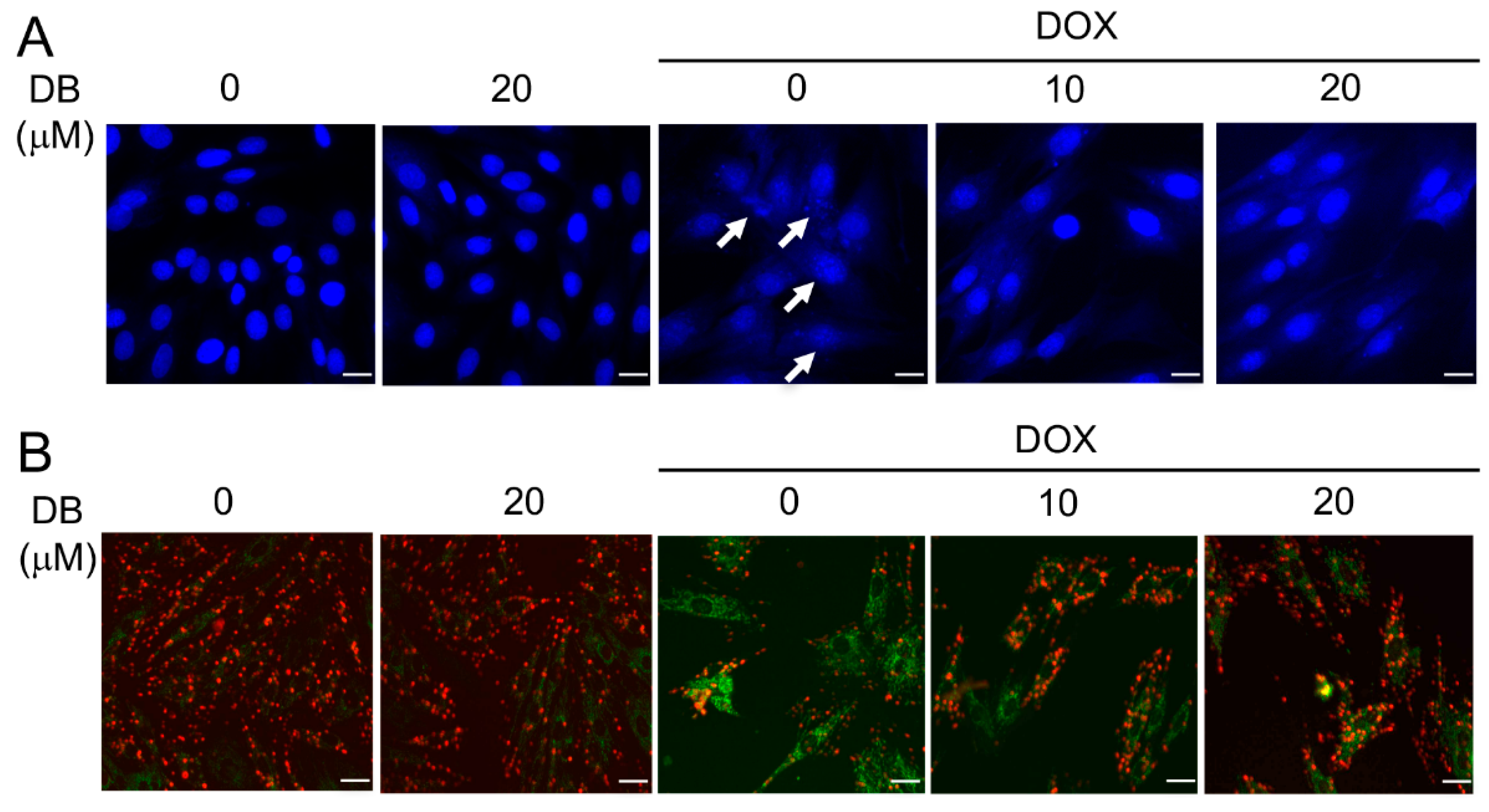 Ijms 19 01809 g002a Ijms 19 01809 g002a