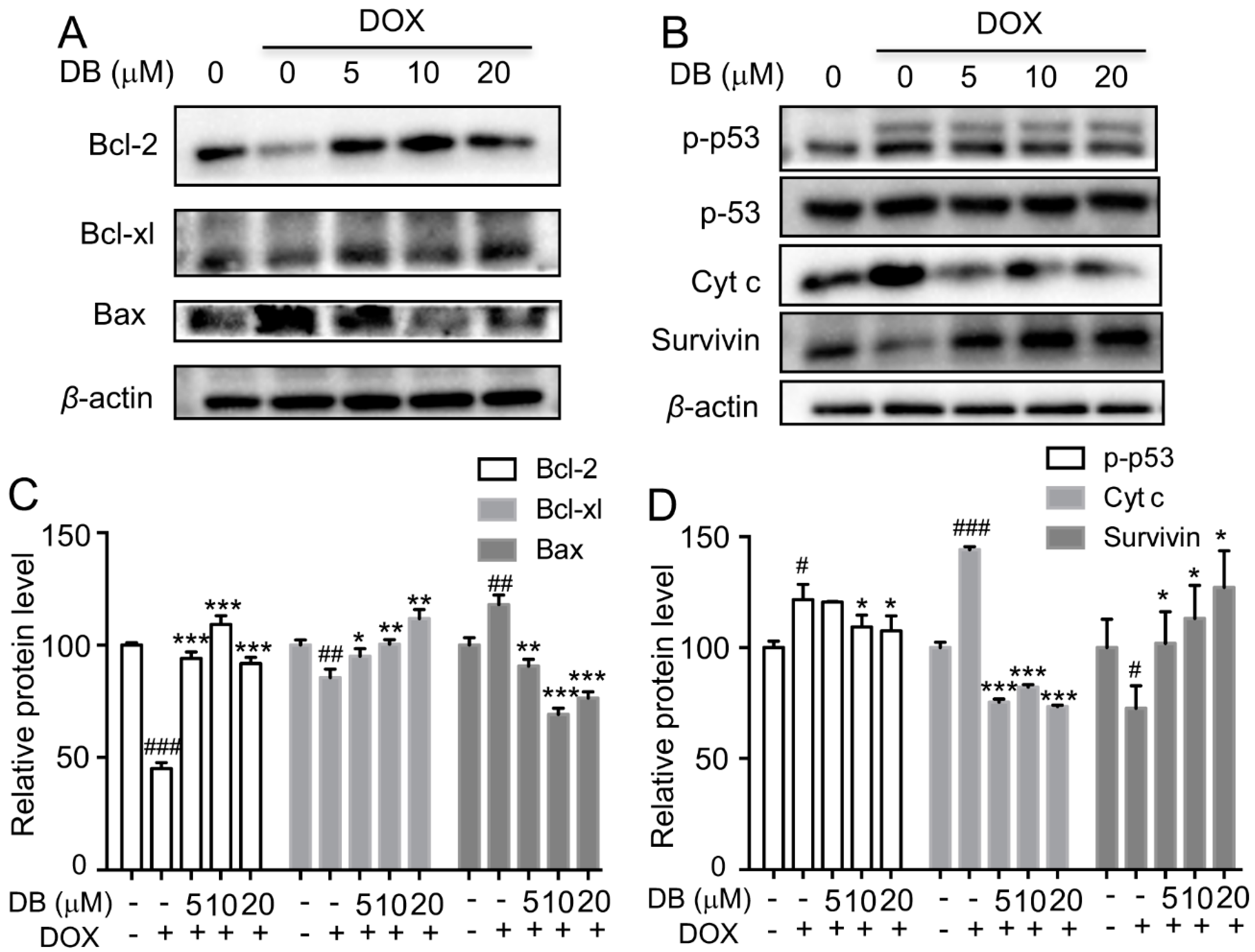 Ijms 19 01809 g003 Ijms 19 01809 g003