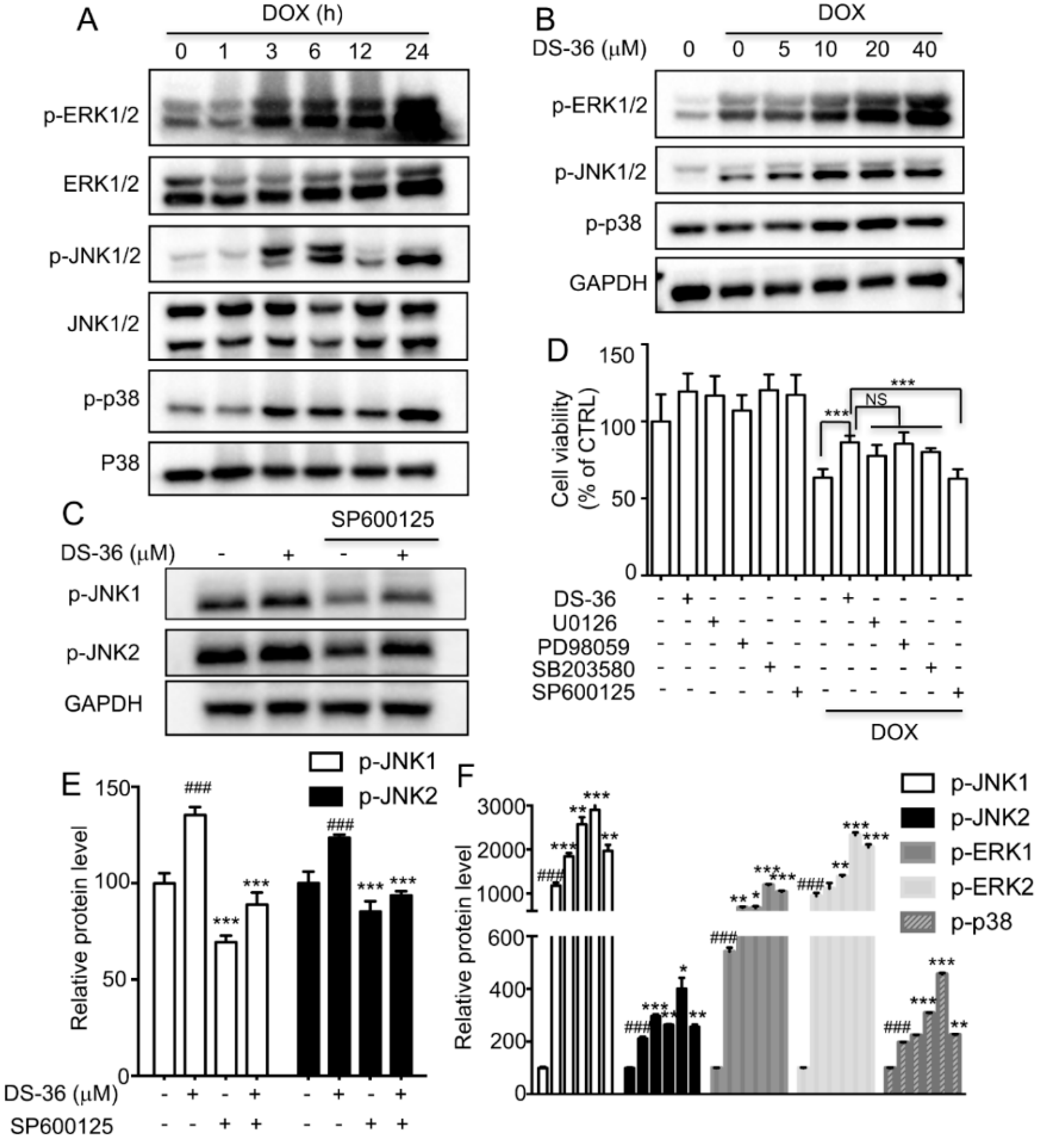 Ijms 19 01809 g006 Ijms 19 01809 g006