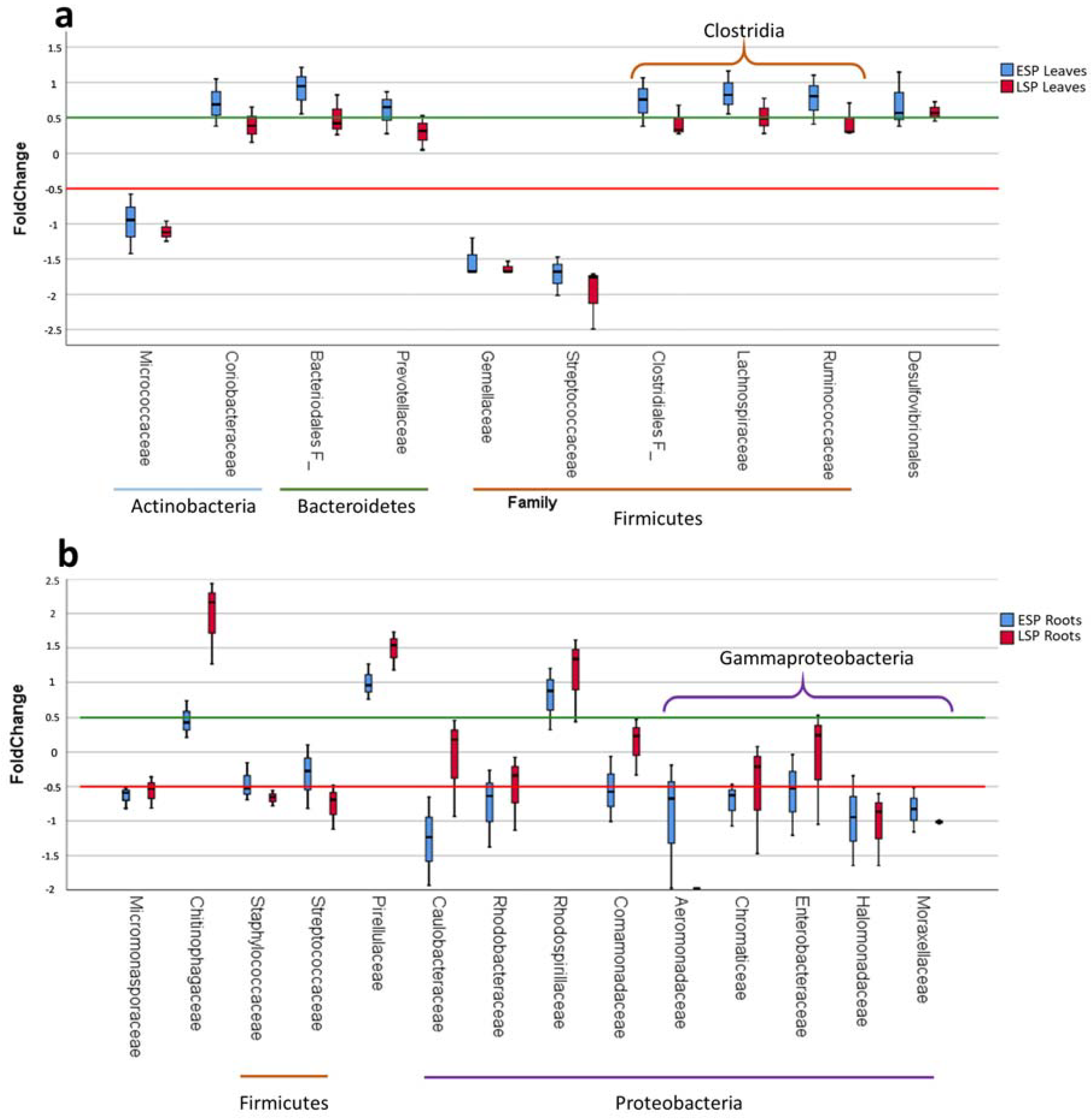 Ijms 19 01817 g005 Ijms 19 01817 g005