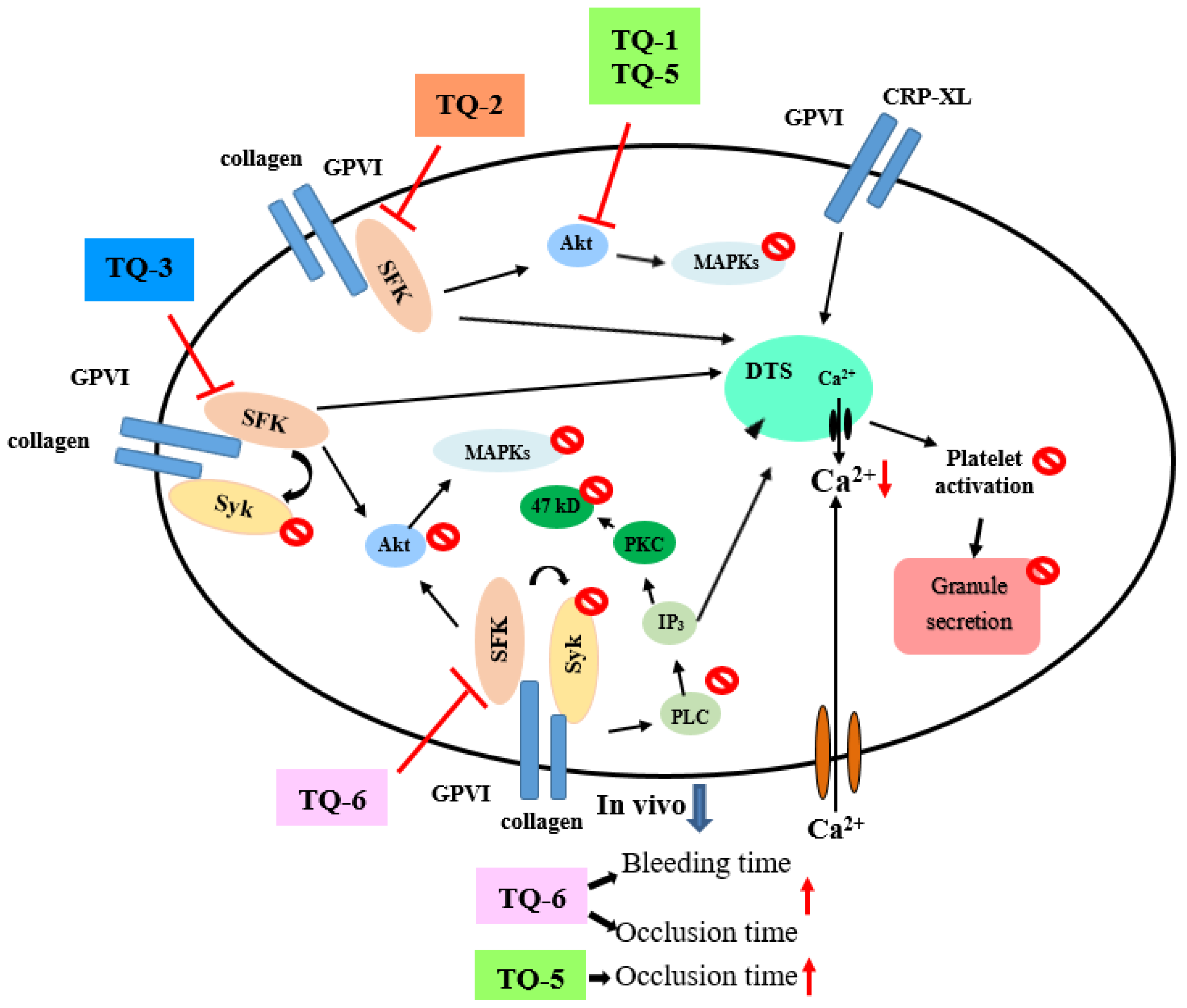 Ijms 19 01818 g002 Ijms 19 01818 g002