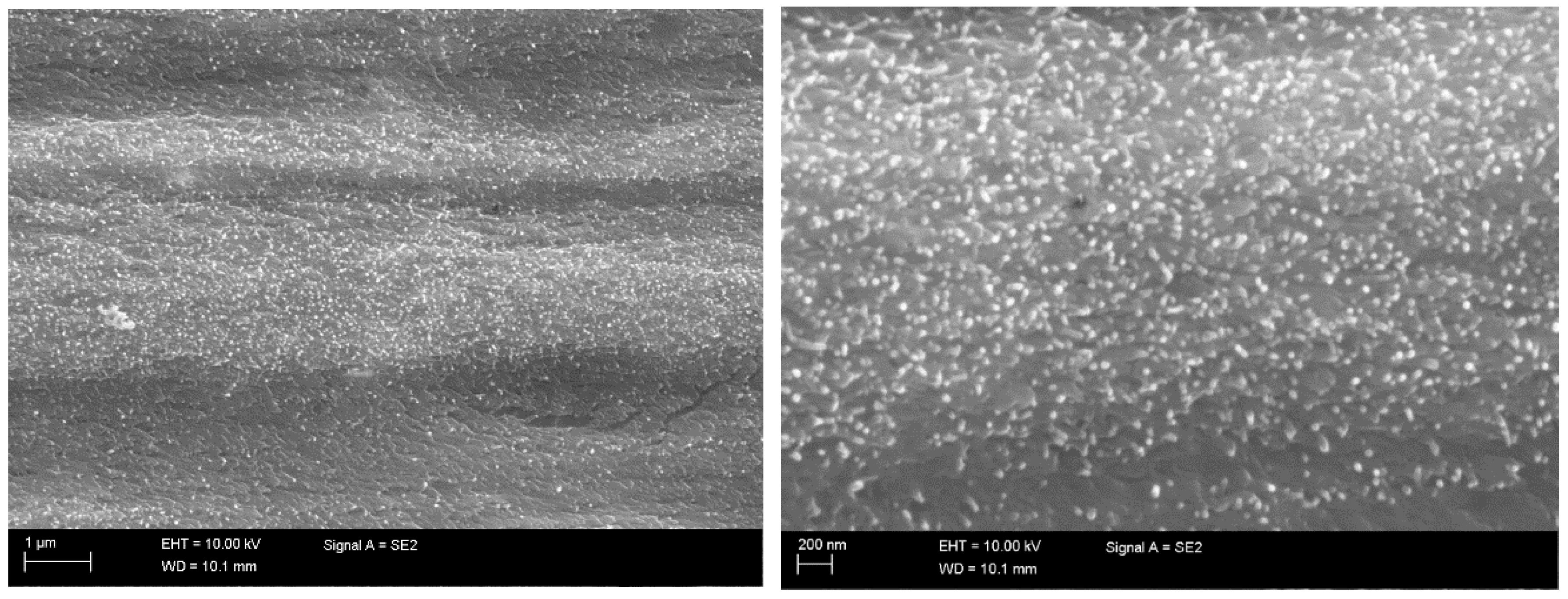 Ijms 19 01819 g005 Ijms 19 01819 g005