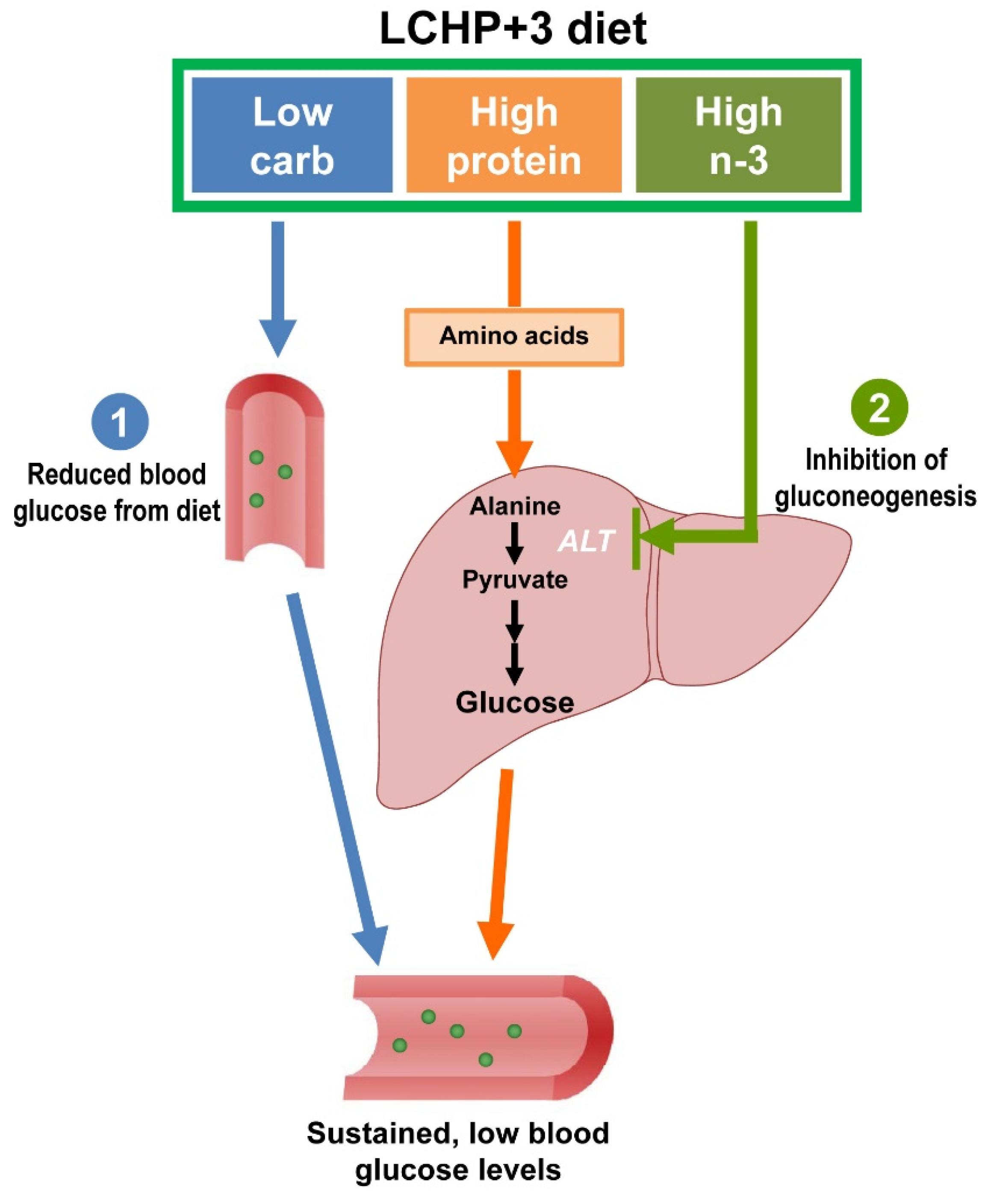 IJMS Free FullText Suppression of Postprandial Blood Glucose