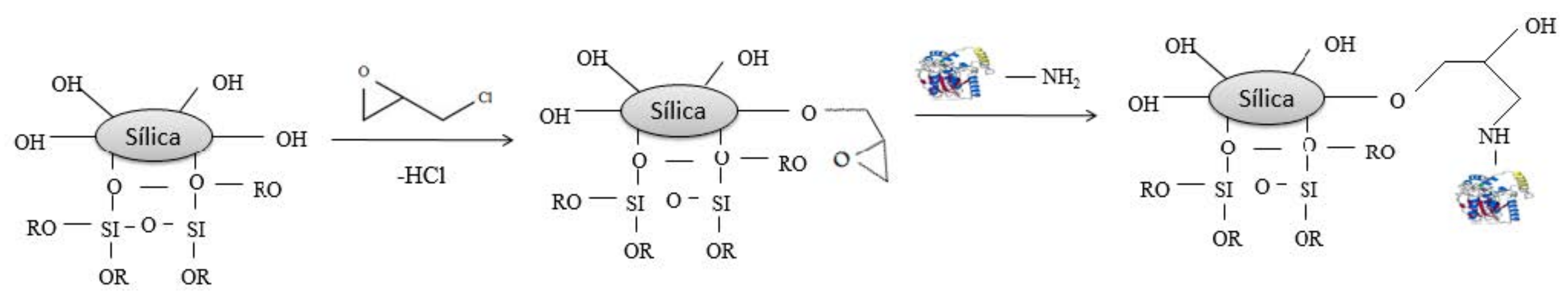 Ijms 19 01829 sch002