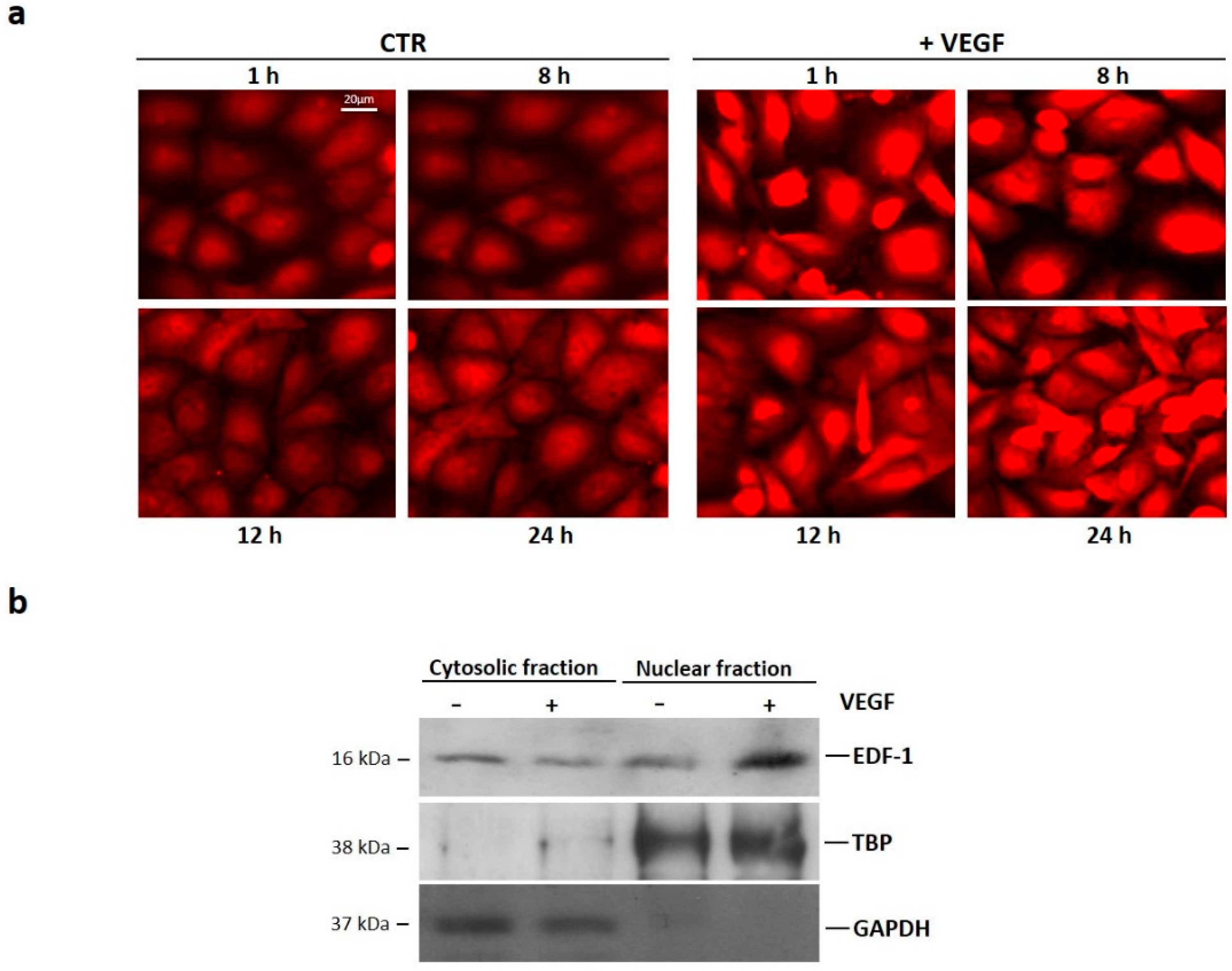 Ijms 19 01830 g002