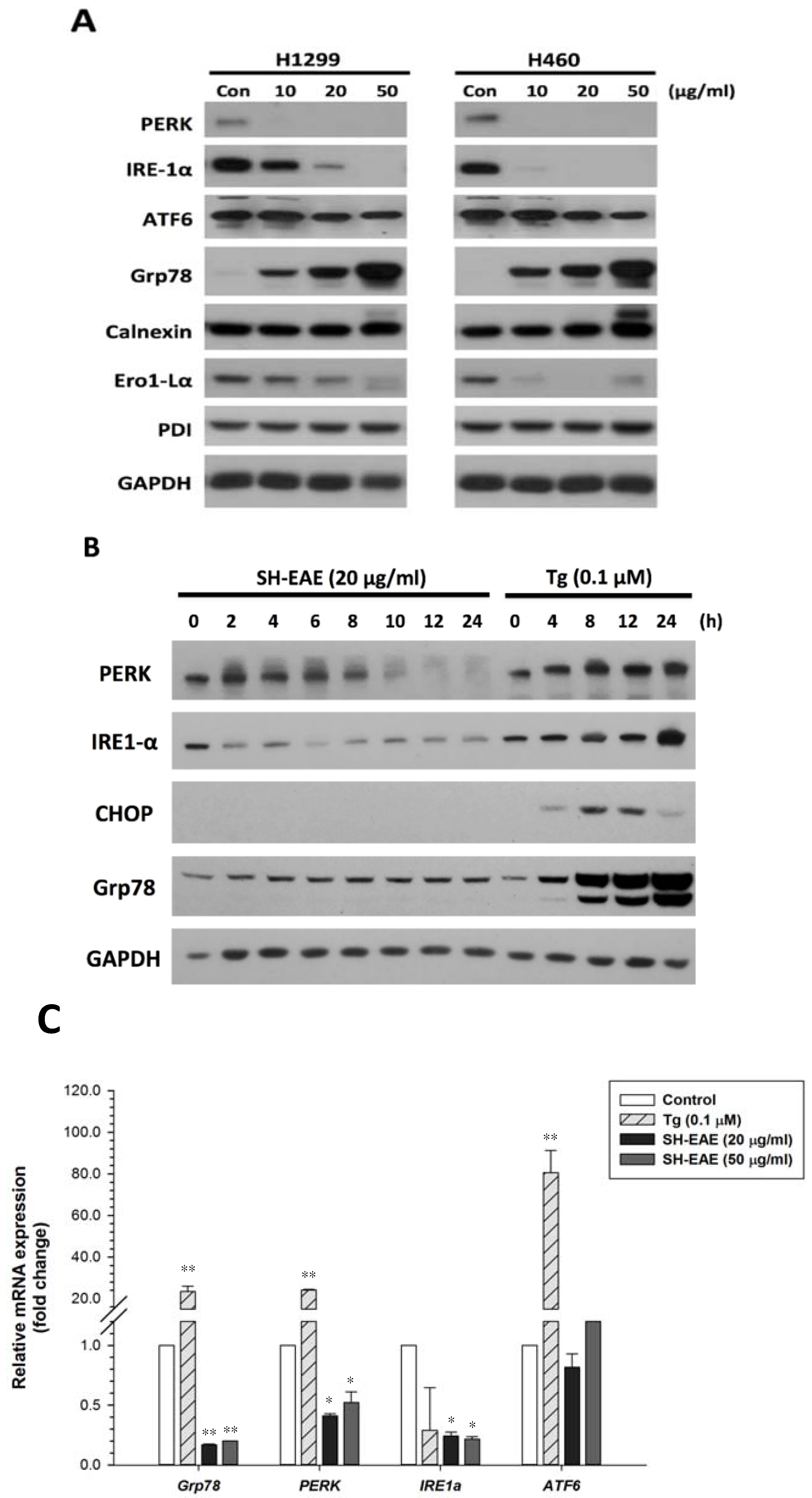 Ijms 19 01832 g002a