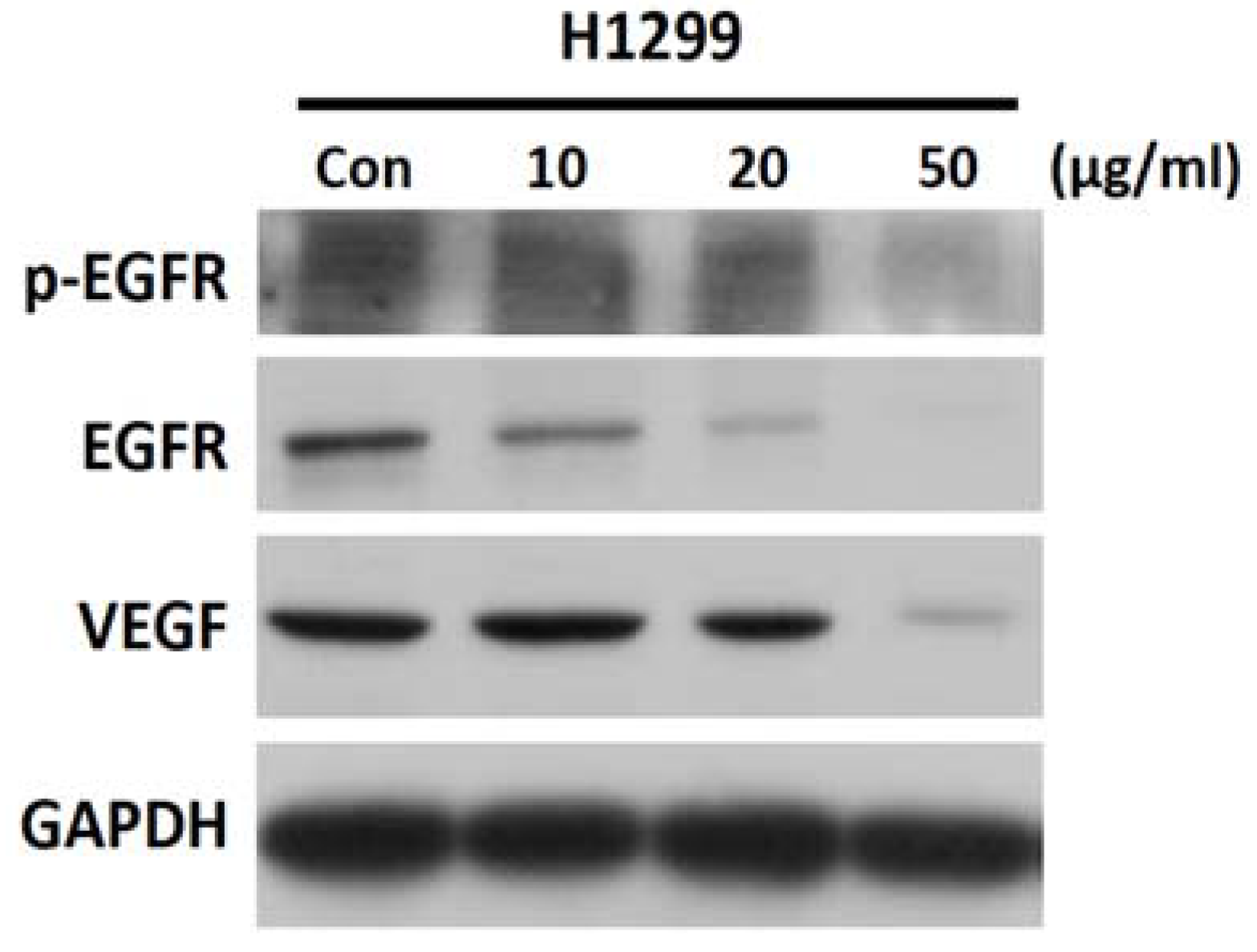 Ijms 19 01832 g006