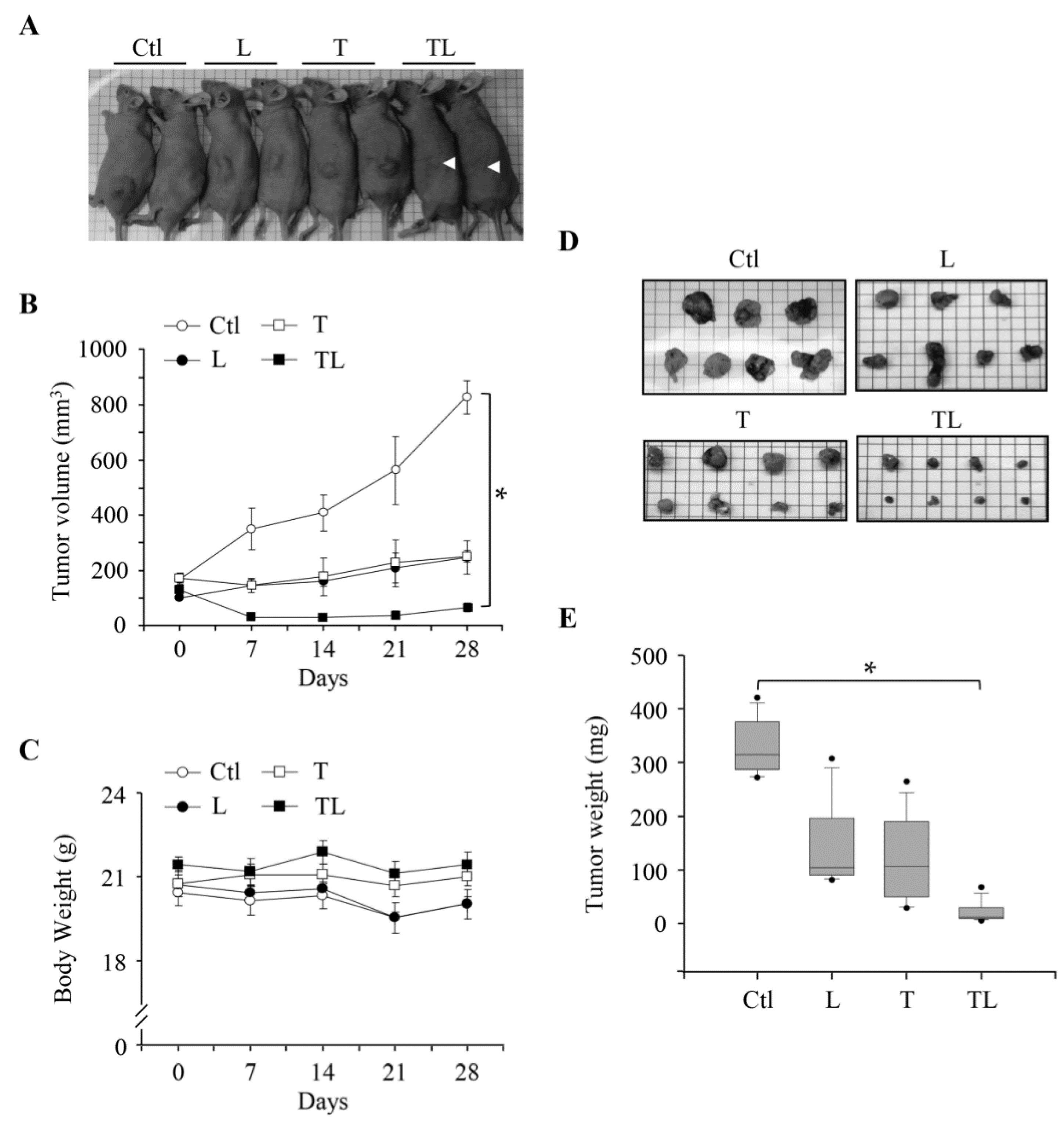 Ijms 19 01834 g004 Ijms 19 01834 g004