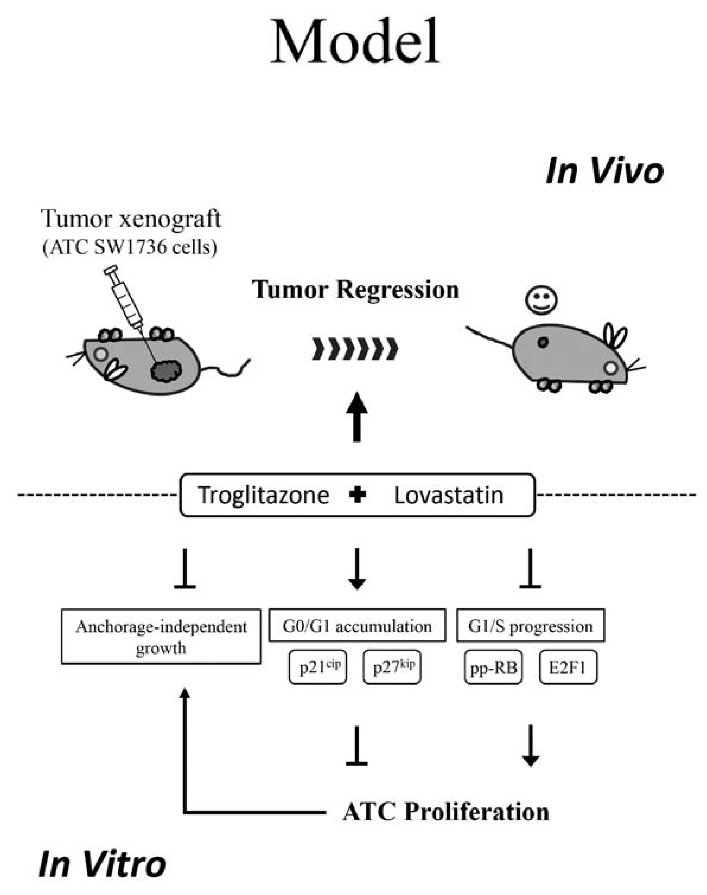 Ijms 19 01834 g005 Ijms 19 01834 g005