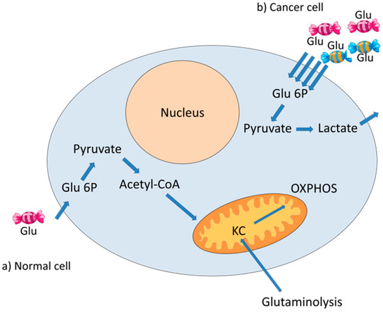 papilom lactate