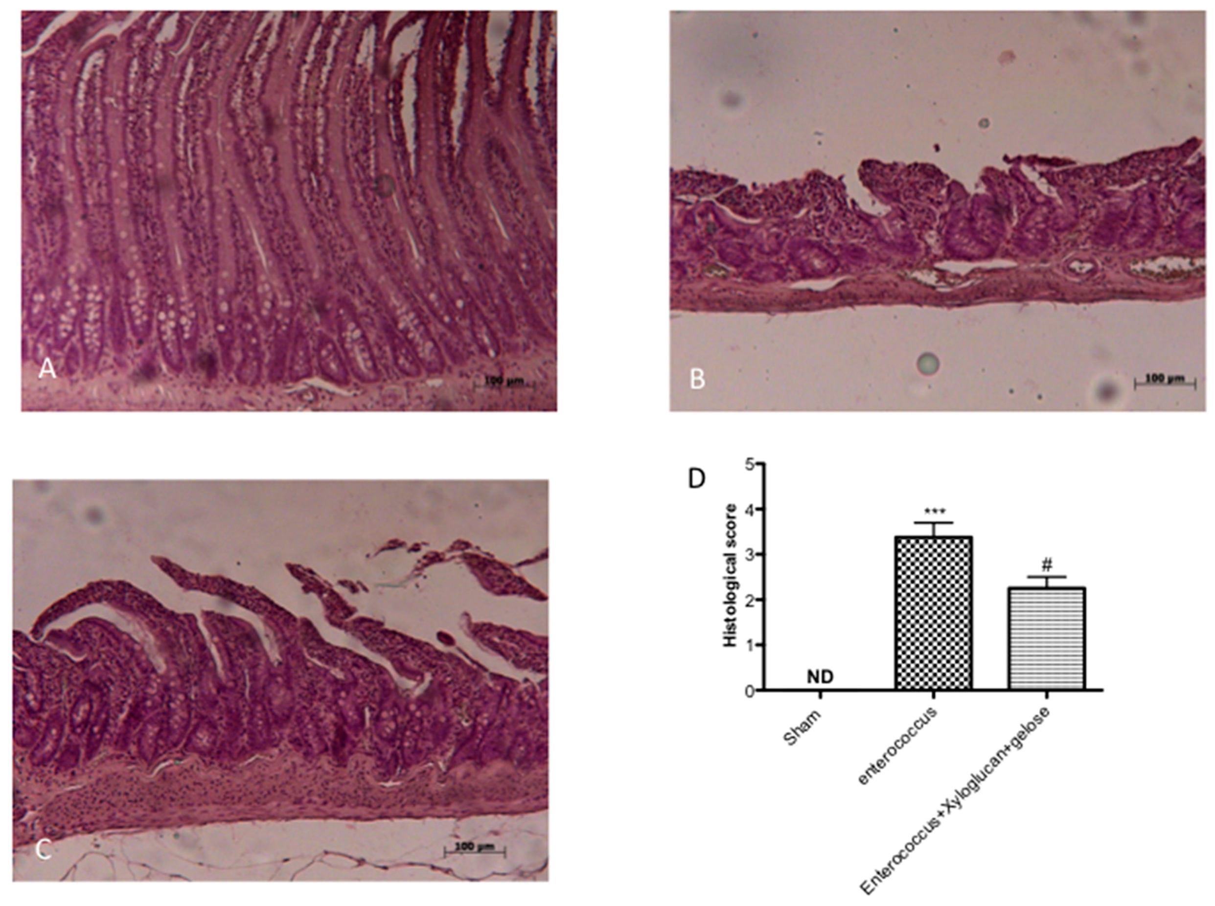 Ijms 19 01844 g002 Ijms 19 01844 g002