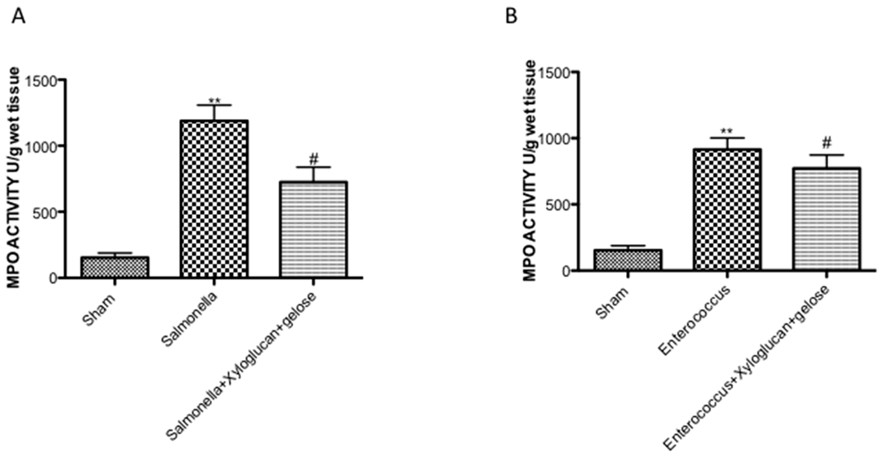 Ijms 19 01844 g003 Ijms 19 01844 g003
