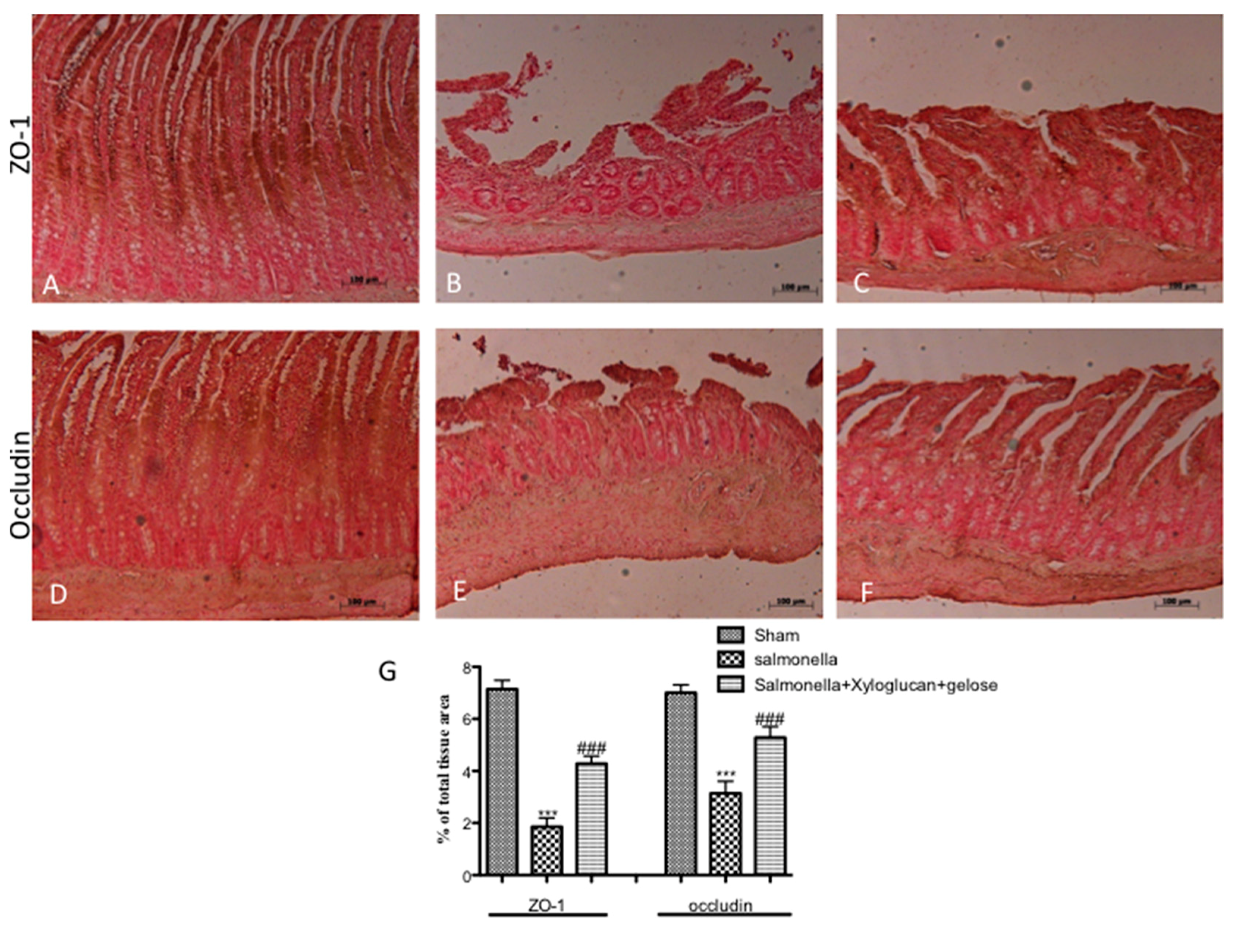 Ijms 19 01844 g004 Ijms 19 01844 g004