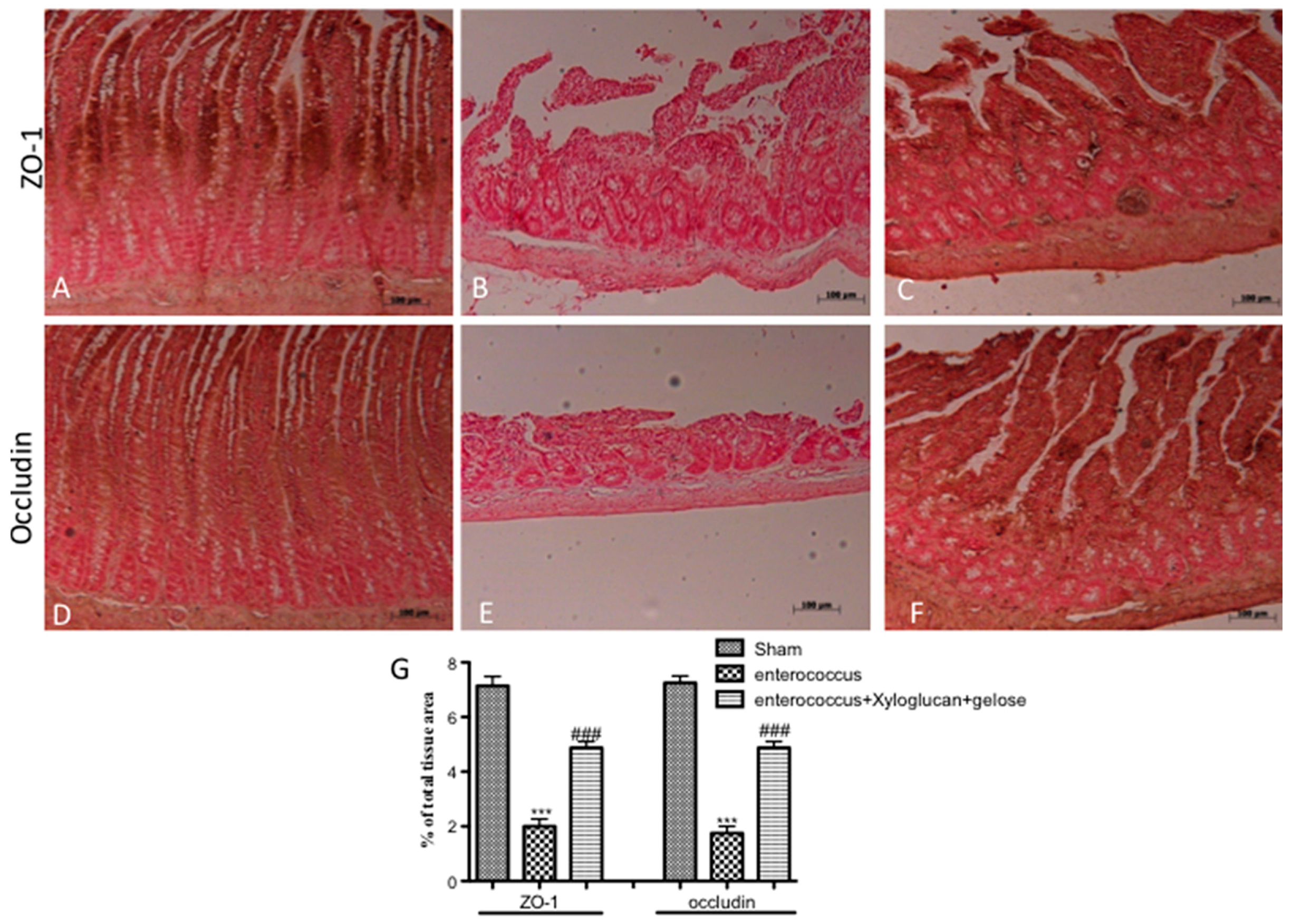 Ijms 19 01844 g005 Ijms 19 01844 g005