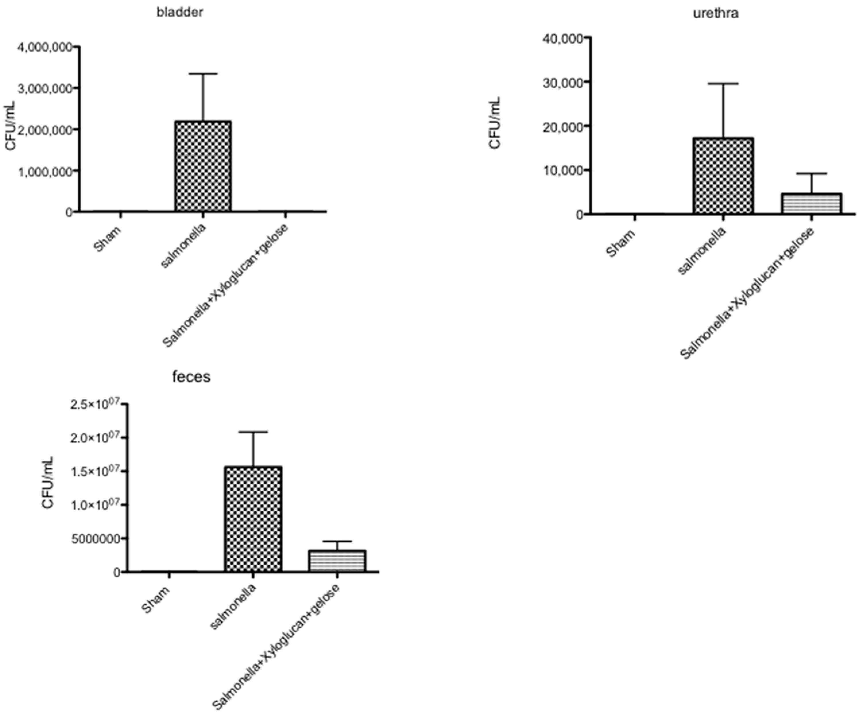 Ijms 19 01844 g007 Ijms 19 01844 g007