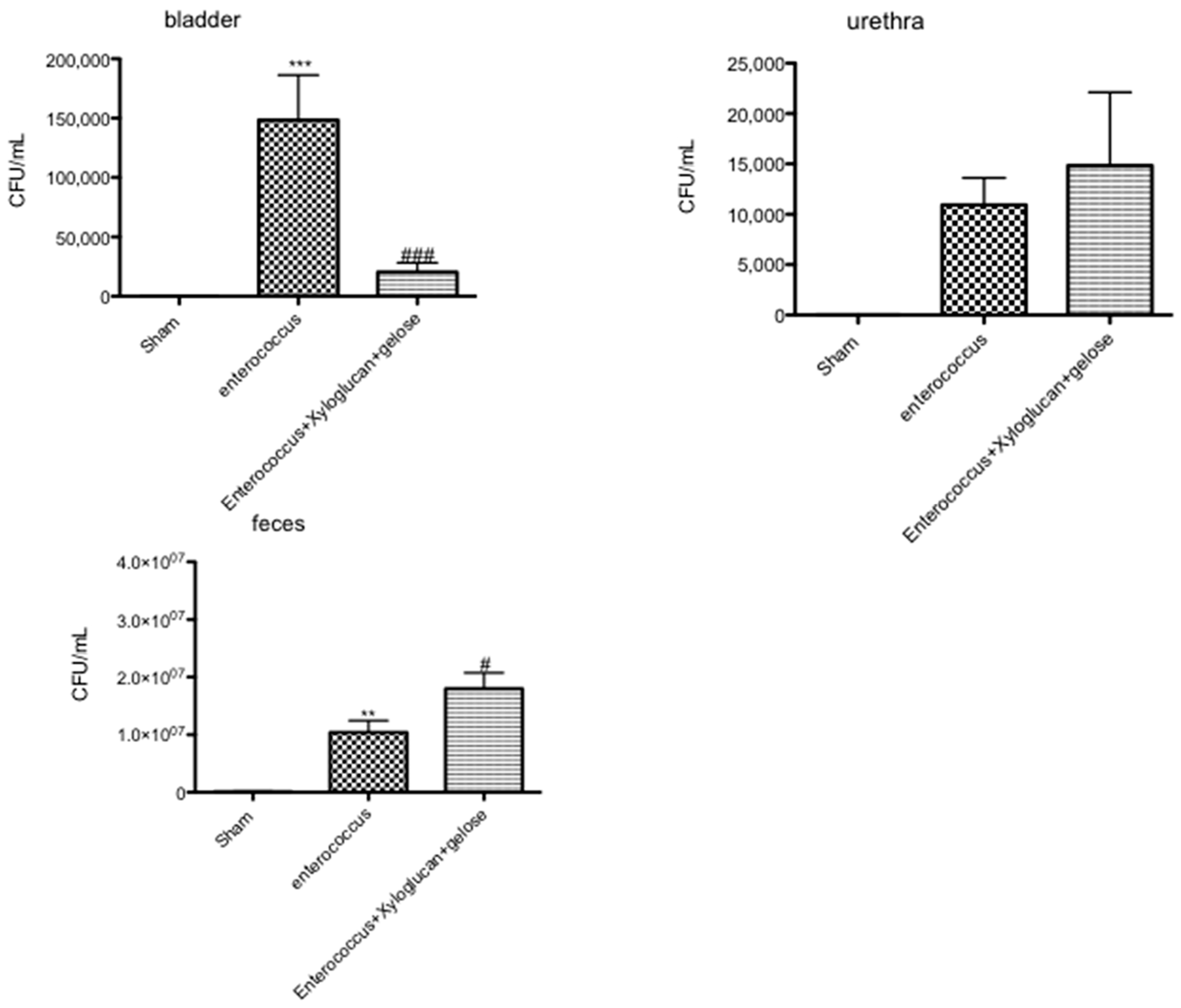 Ijms 19 01844 g008 Ijms 19 01844 g008