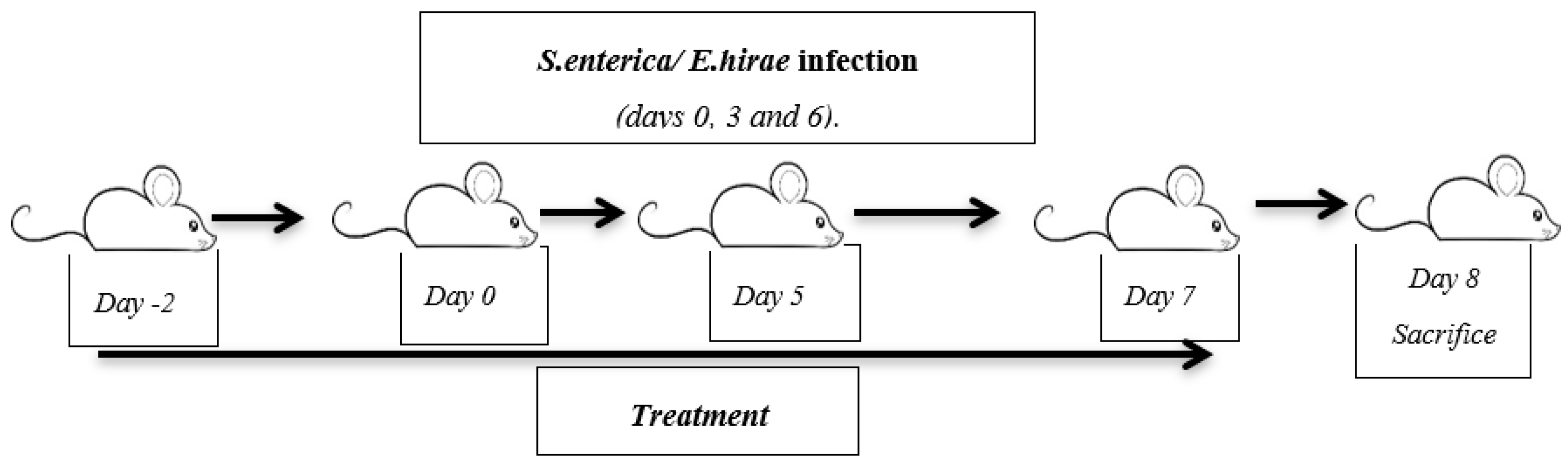 Ijms 19 01844 g009 Ijms 19 01844 g009