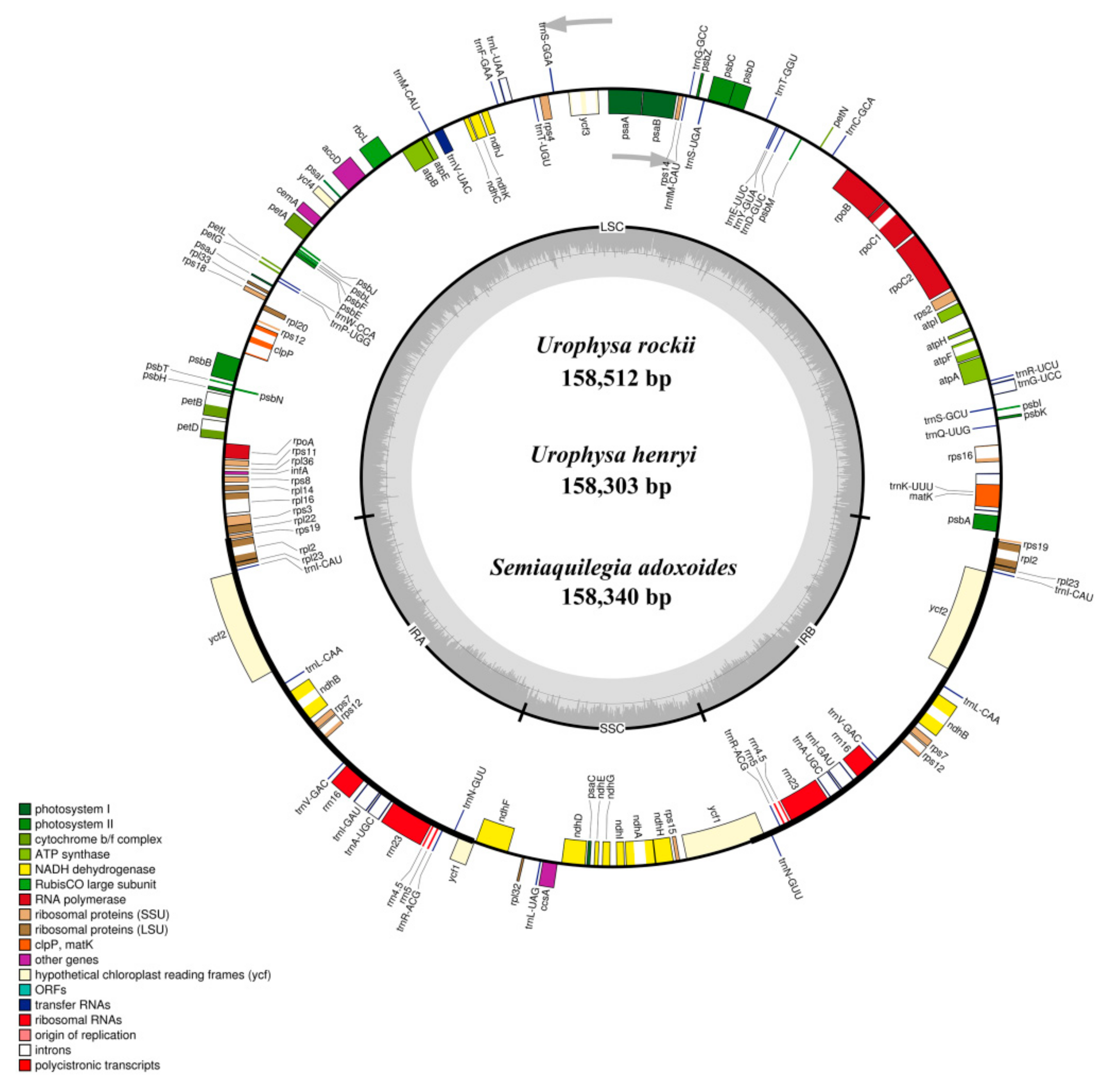 Ijms 19 01847 g001 Ijms 19 01847 g001