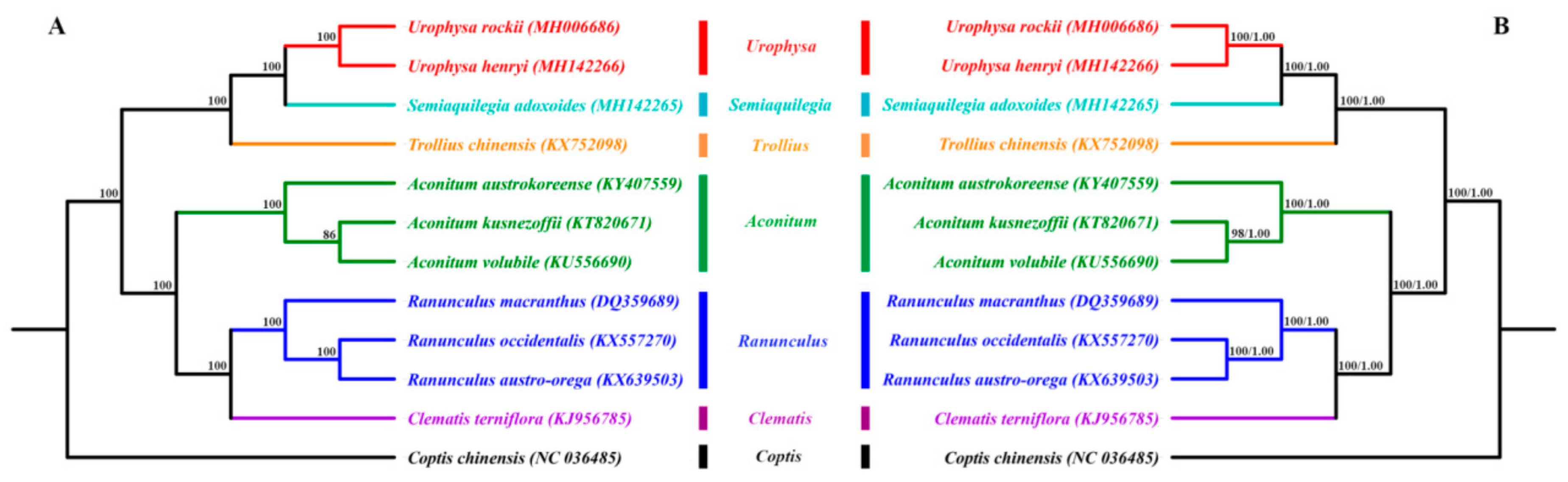 Ijms 19 01847 g006 Ijms 19 01847 g006