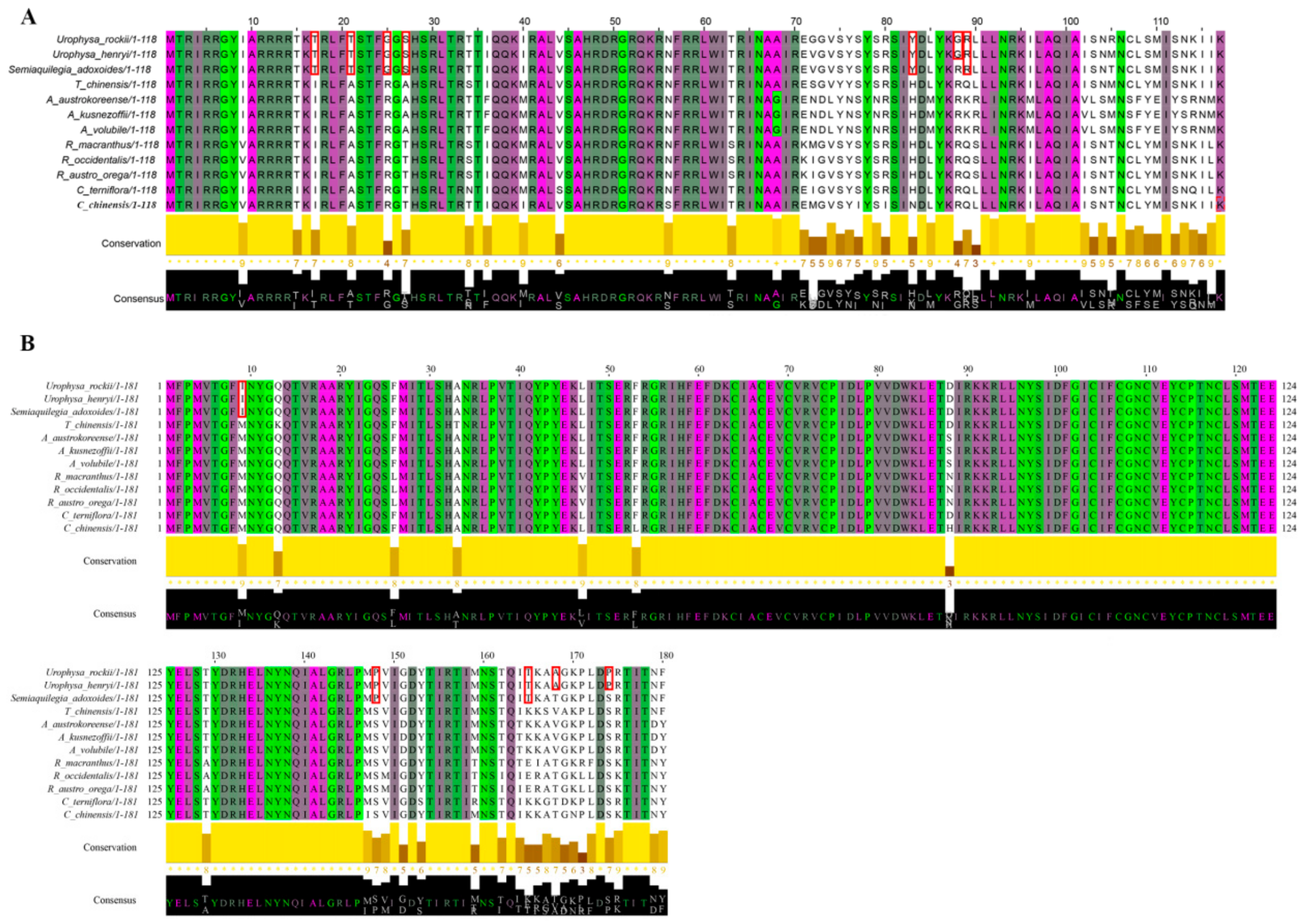 Ijms 19 01847 g007 Ijms 19 01847 g007