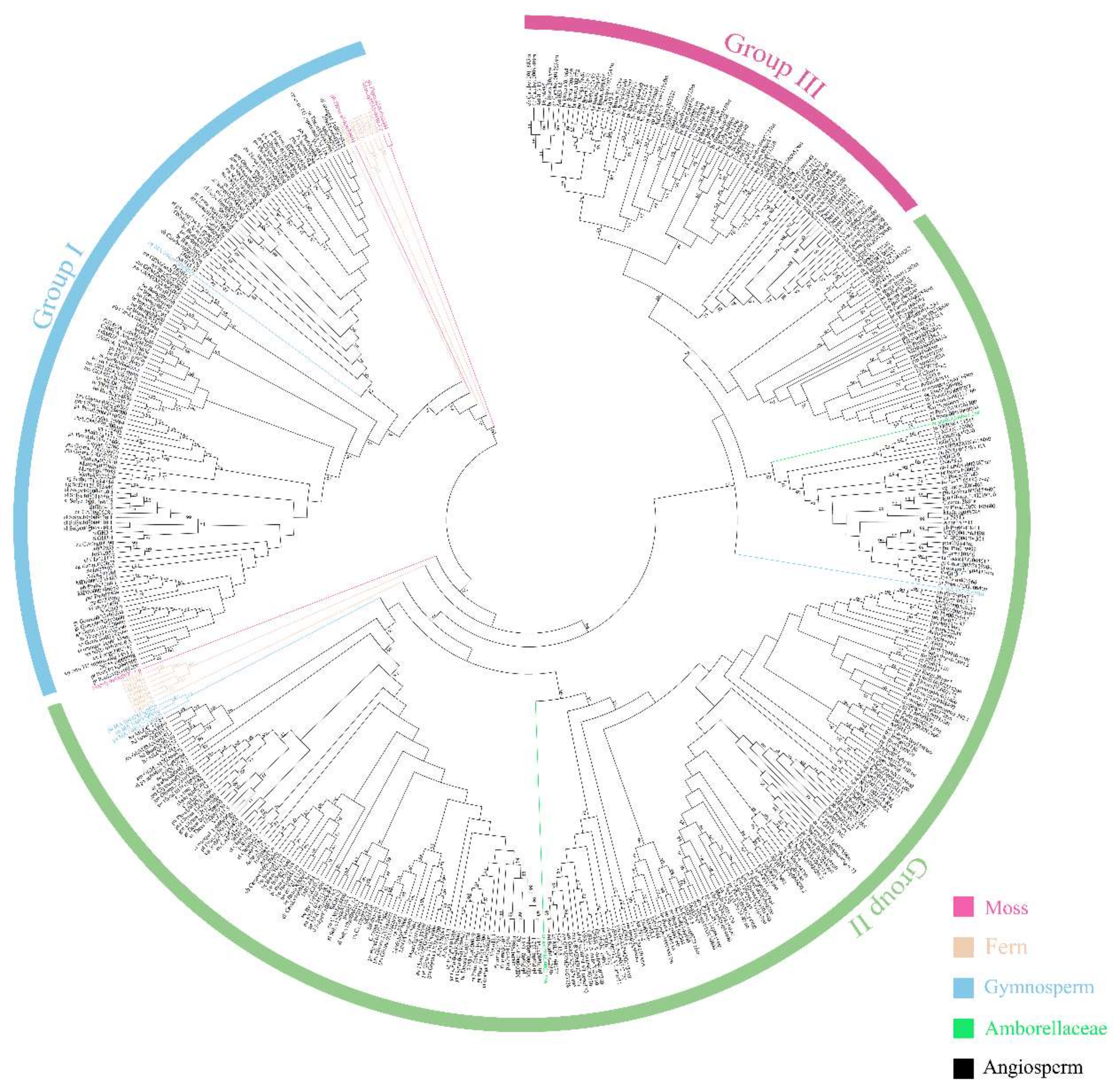 Ijms 19 01850 g001 Ijms 19 01850 g001