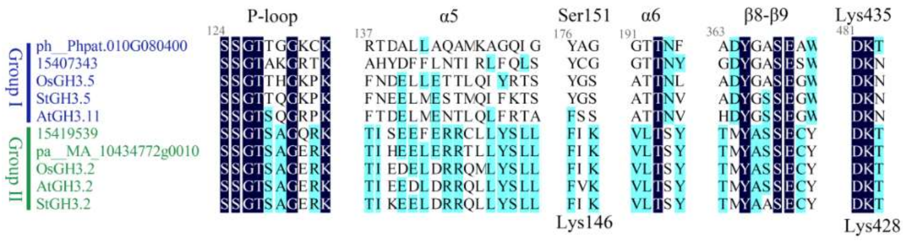 Ijms 19 01850 g003 Ijms 19 01850 g003