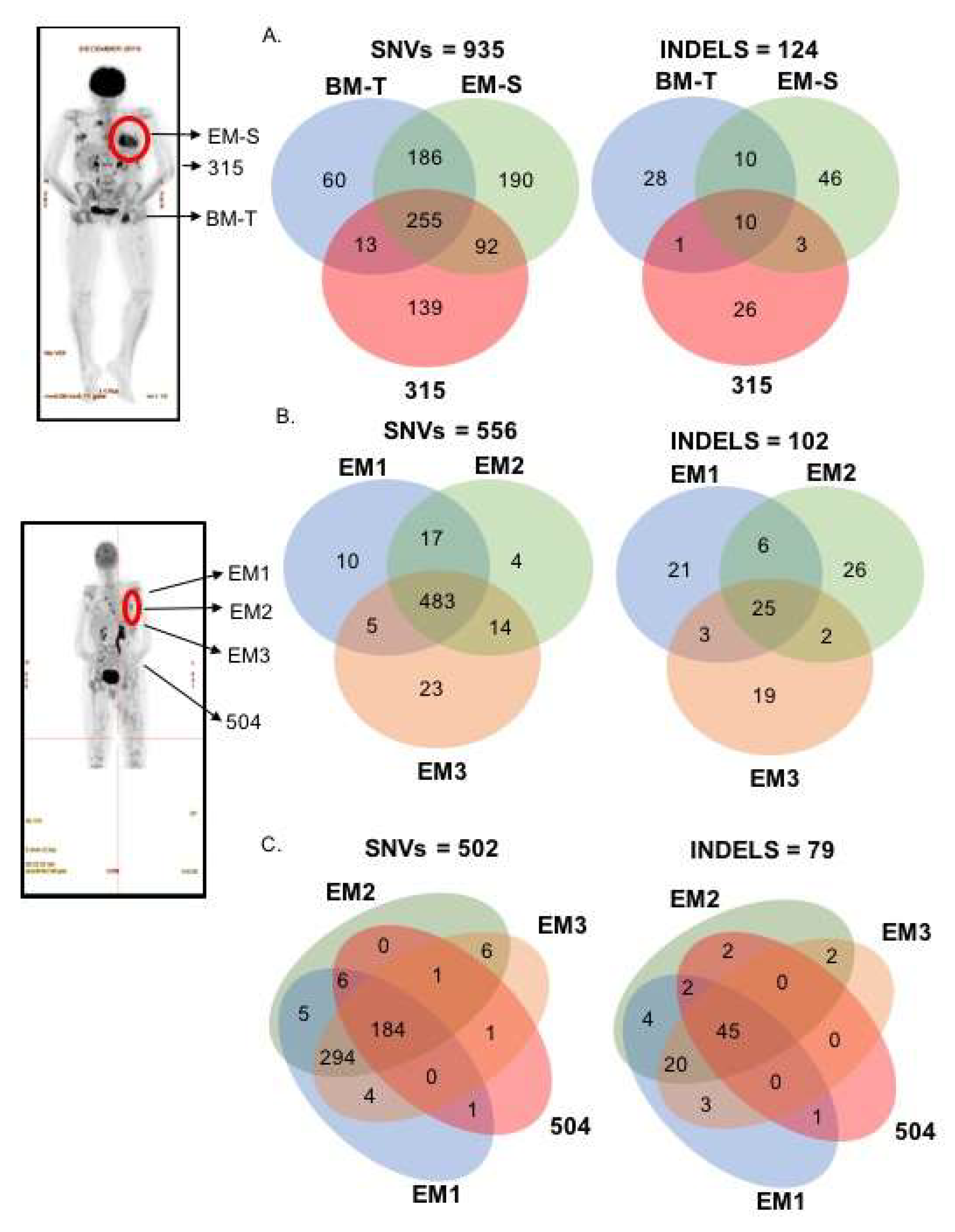 Ijms 19 01858 g002 Ijms 19 01858 g002