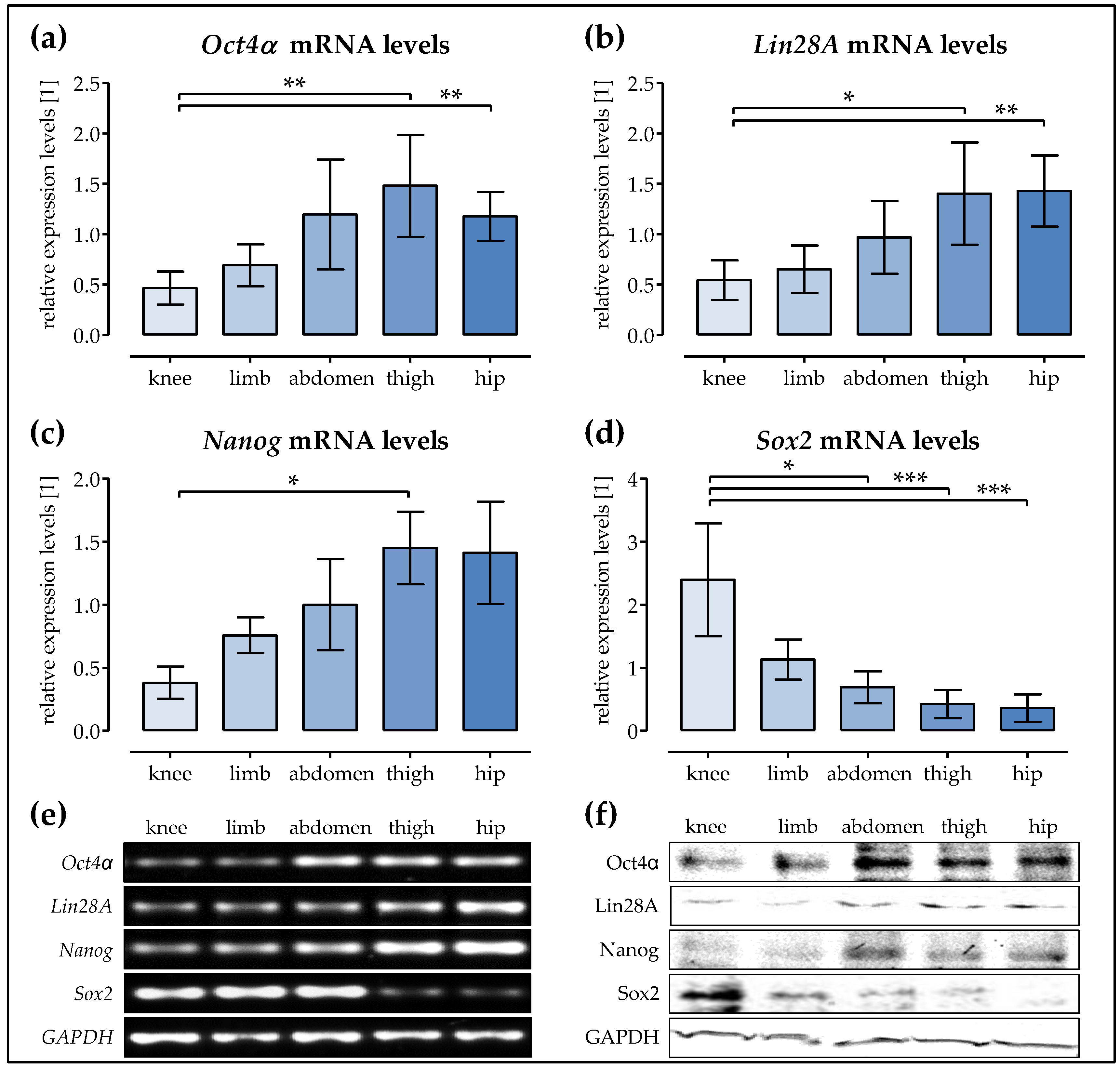 Ijms 19 01868 g005 Ijms 19 01868 g005