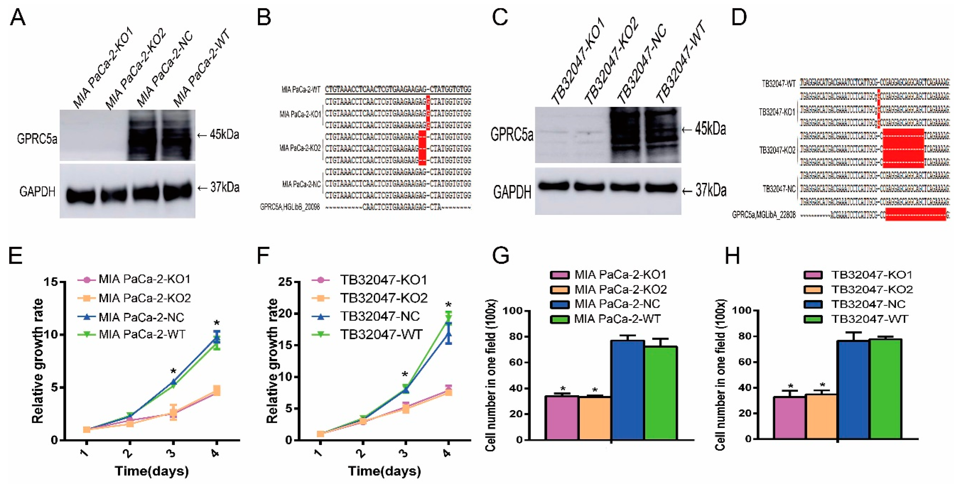 Ijms 19 01870 g003 Ijms 19 01870 g003