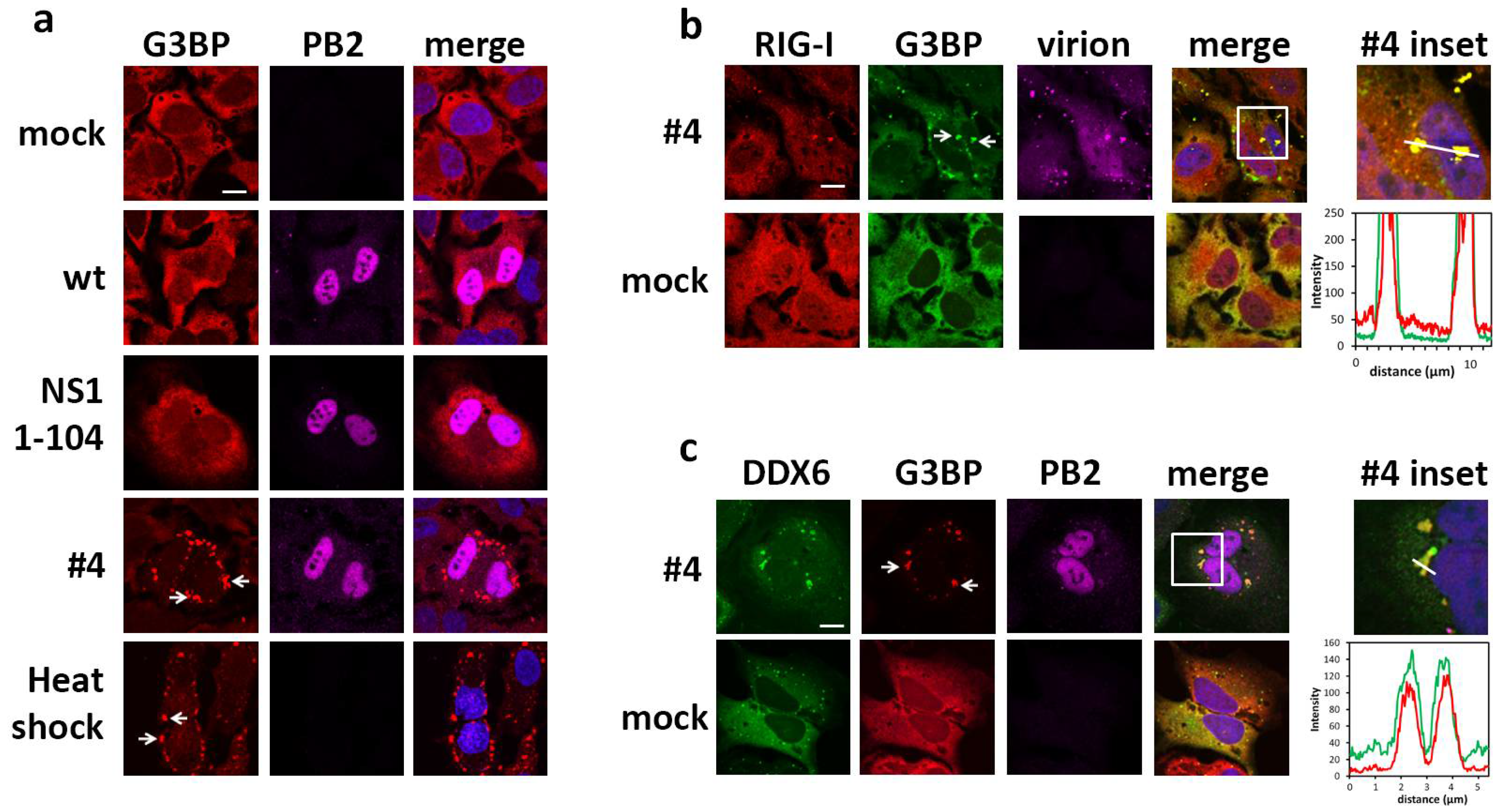 Ijms 19 01877 g002 Ijms 19 01877 g002