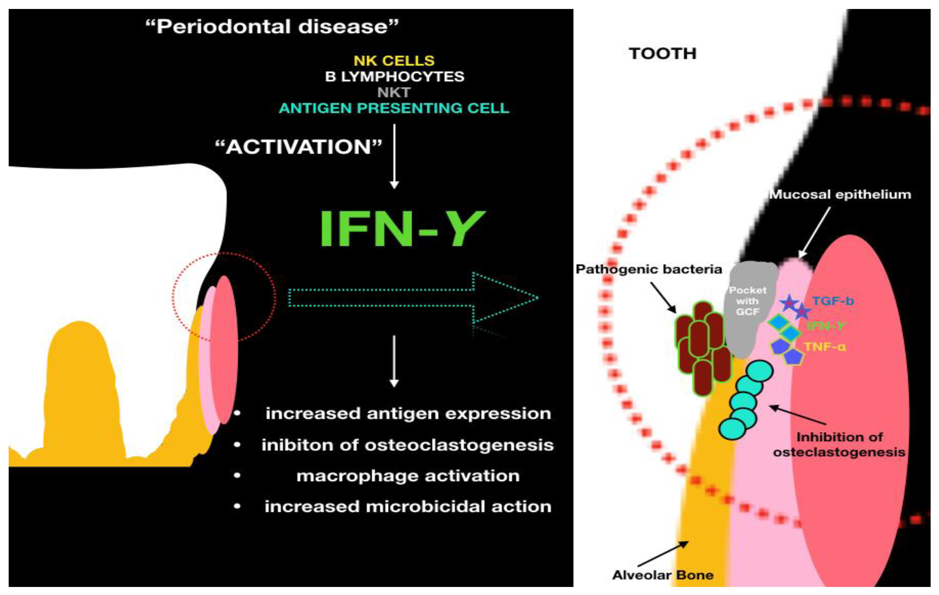 Ijms 19 01908 g002 Ijms 19 01908 g002