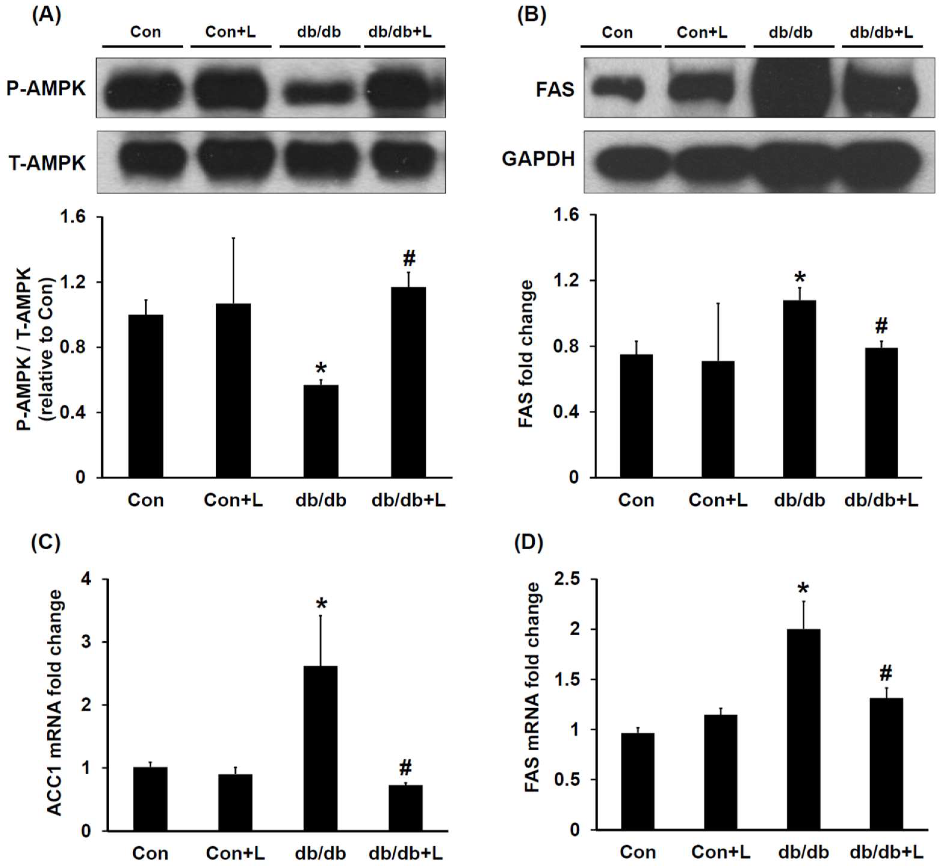 Ijms 19 01921 g003 Ijms 19 01921 g003