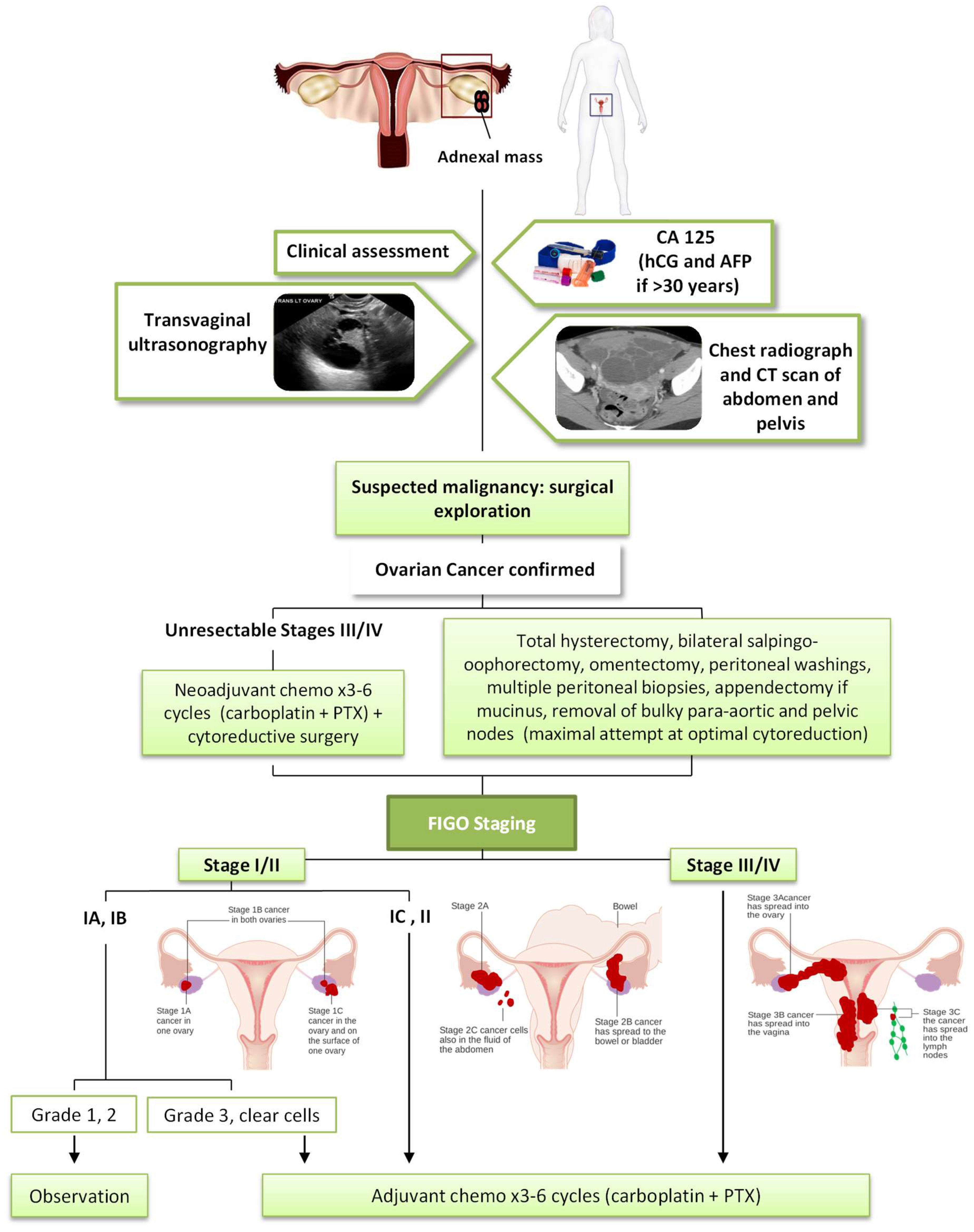 Ijms Free Full Text Recent Progress In Gene Therapy For Ovarian 