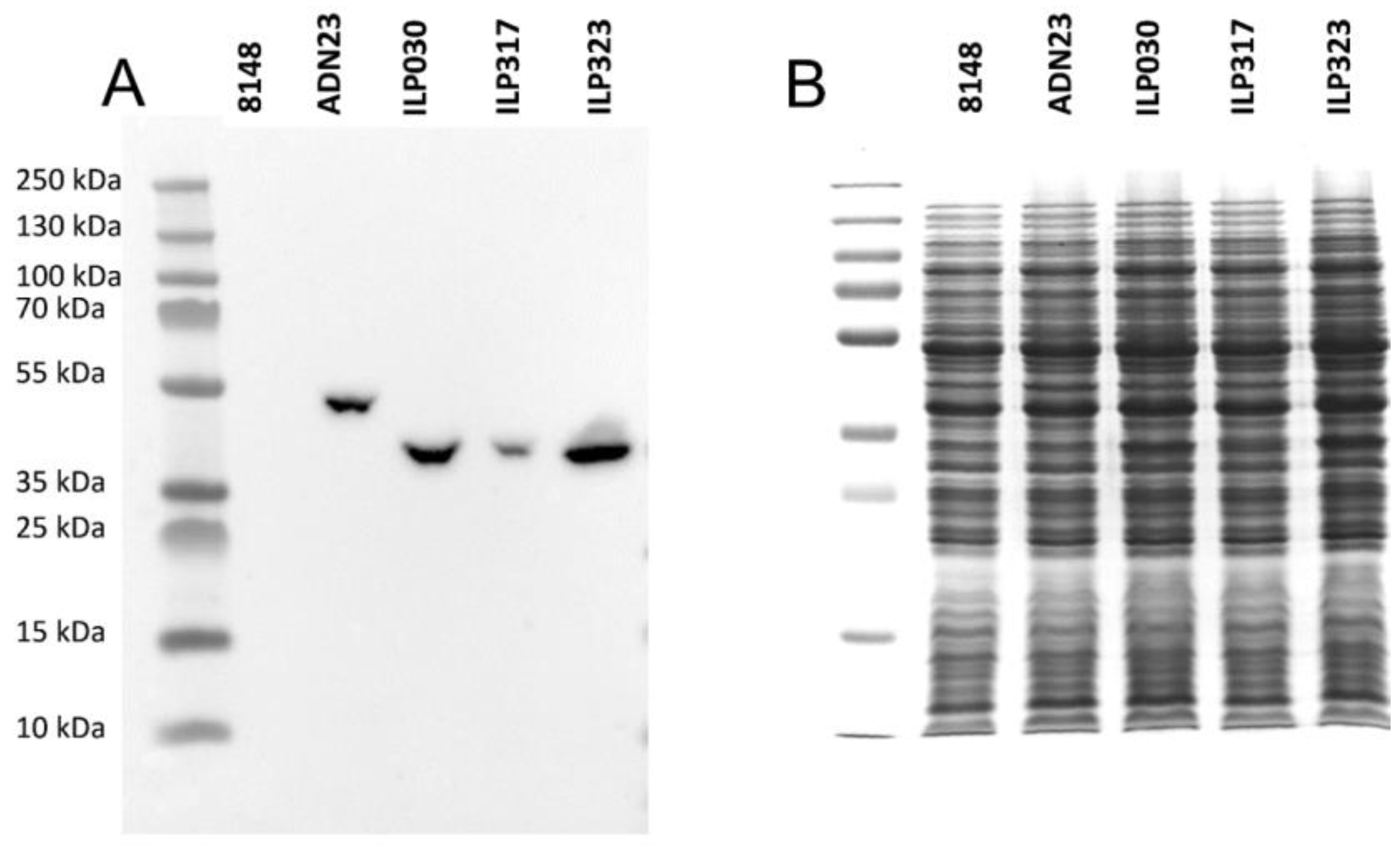 Ijms 19 01933 g002