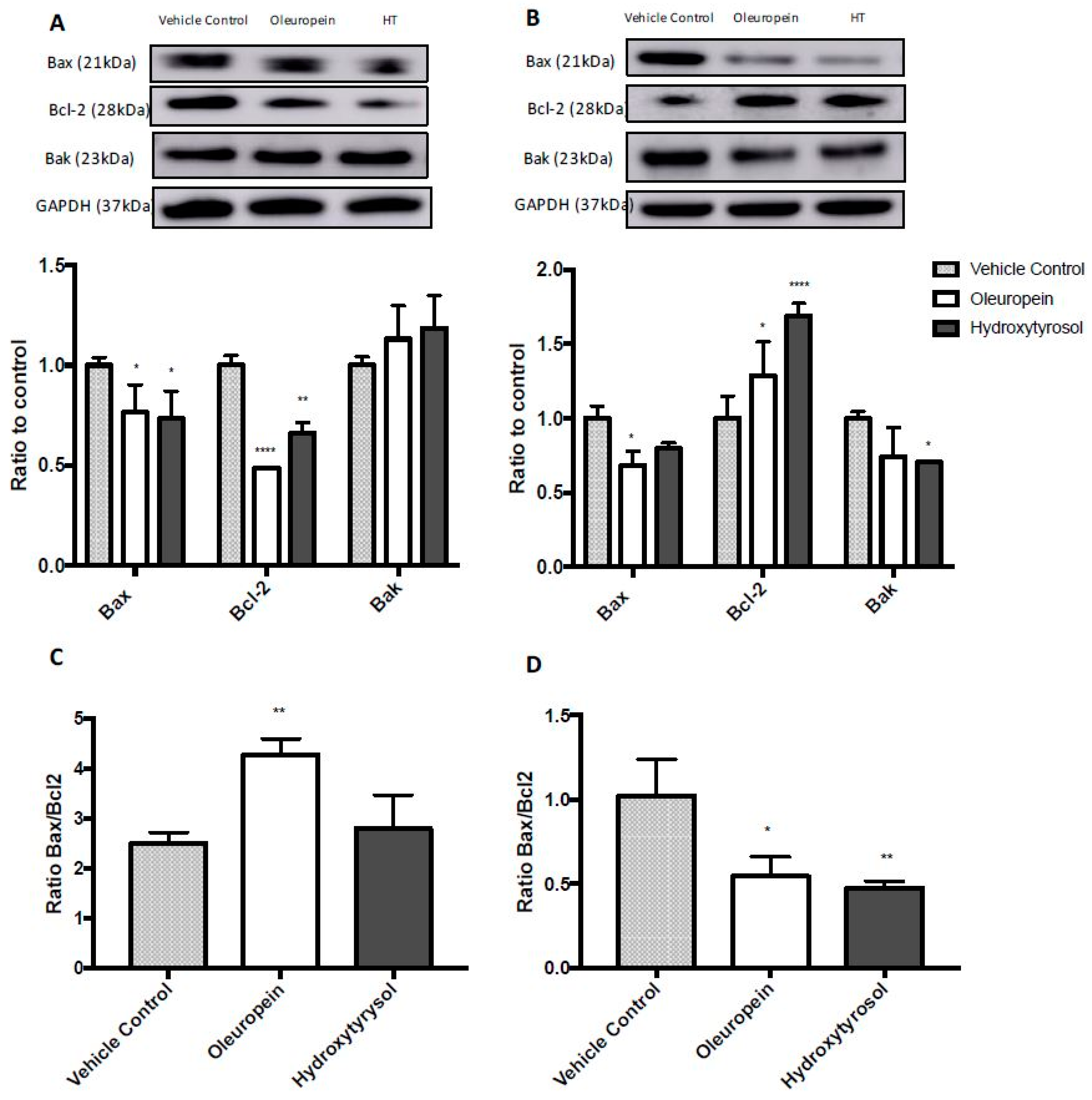 Ijms 19 01937 g005 Ijms 19 01937 g005