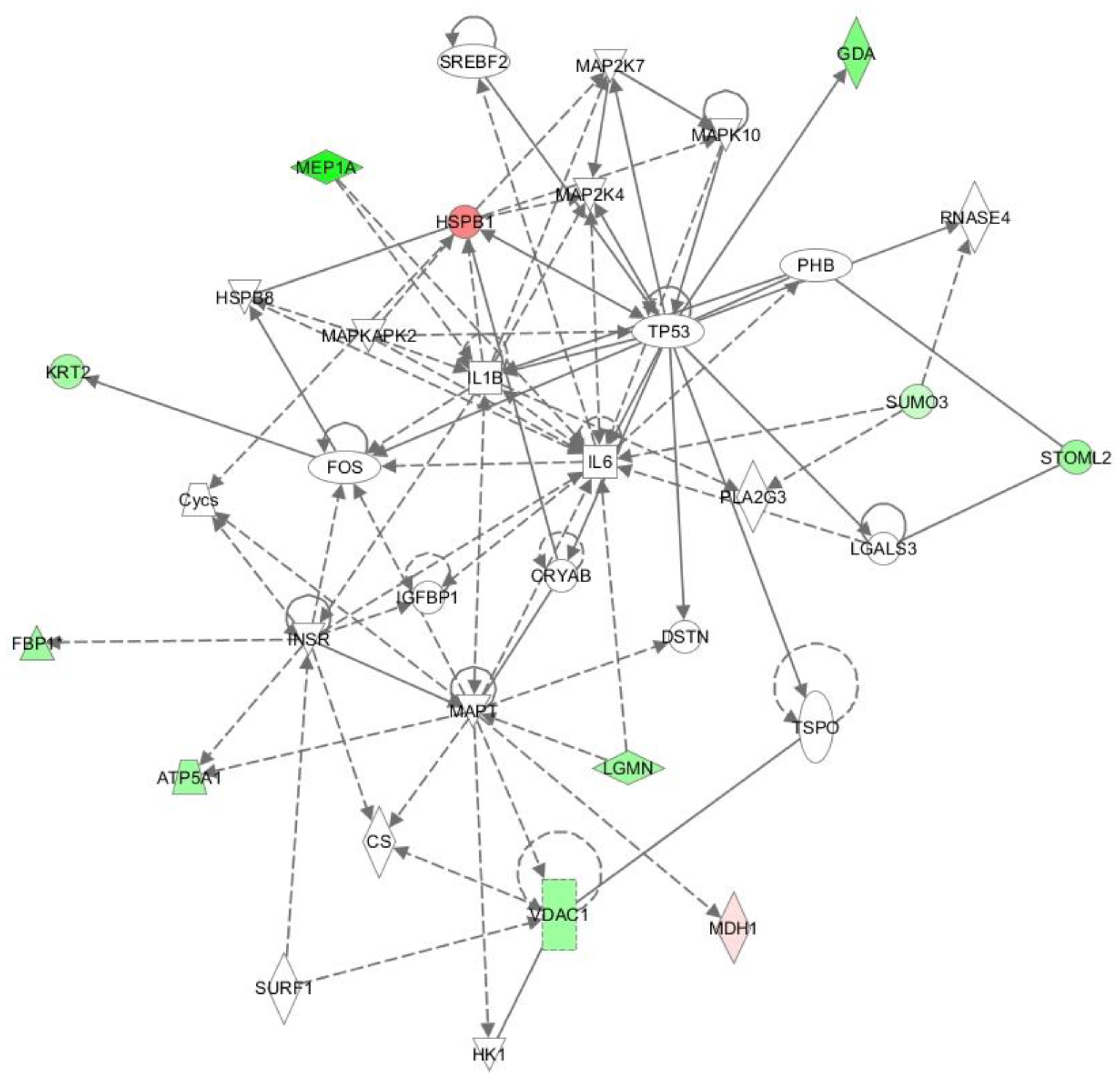 Ijms 19 01960 g001 Ijms 19 01960 g001