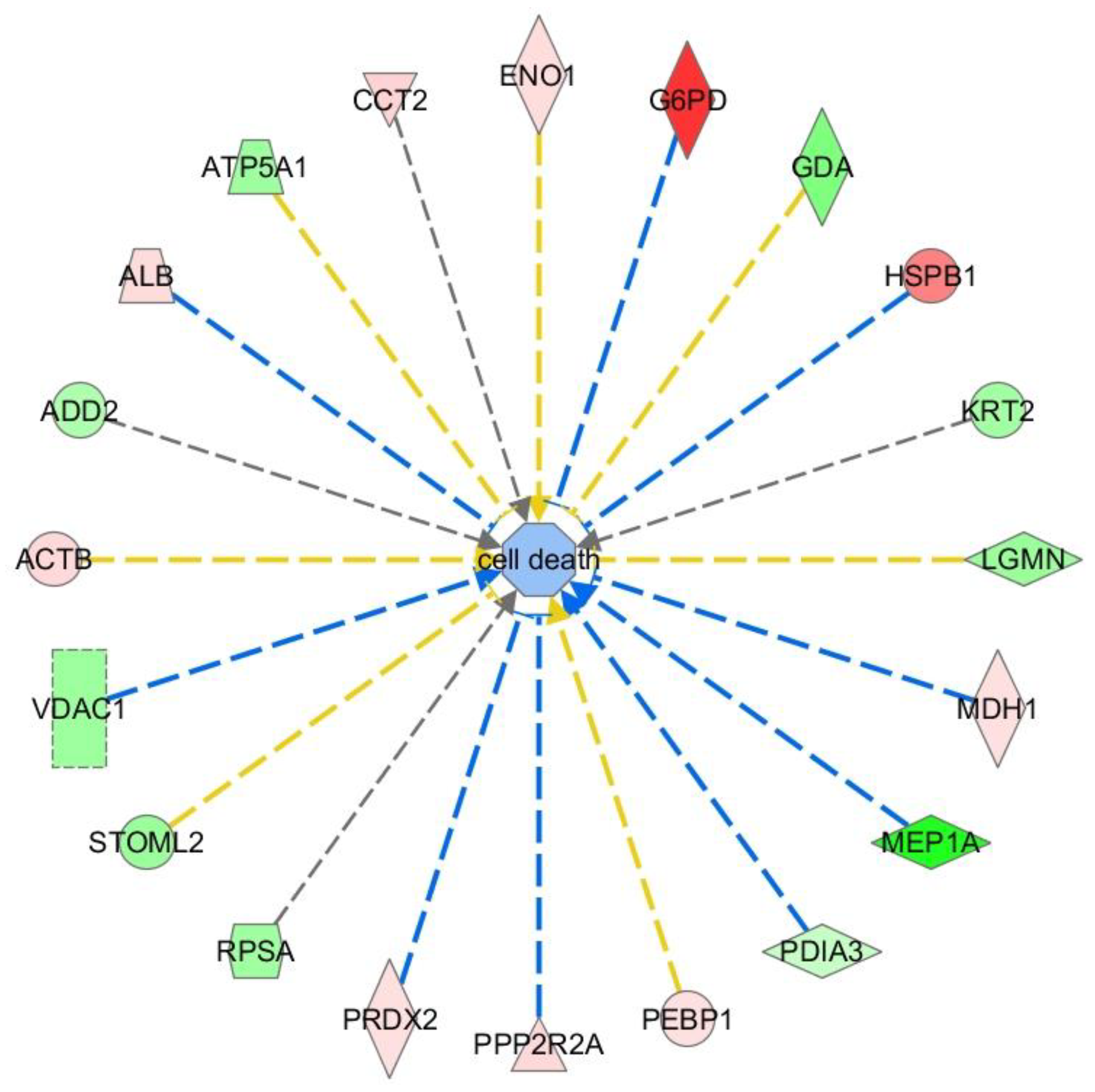 Ijms 19 01960 g002 Ijms 19 01960 g002