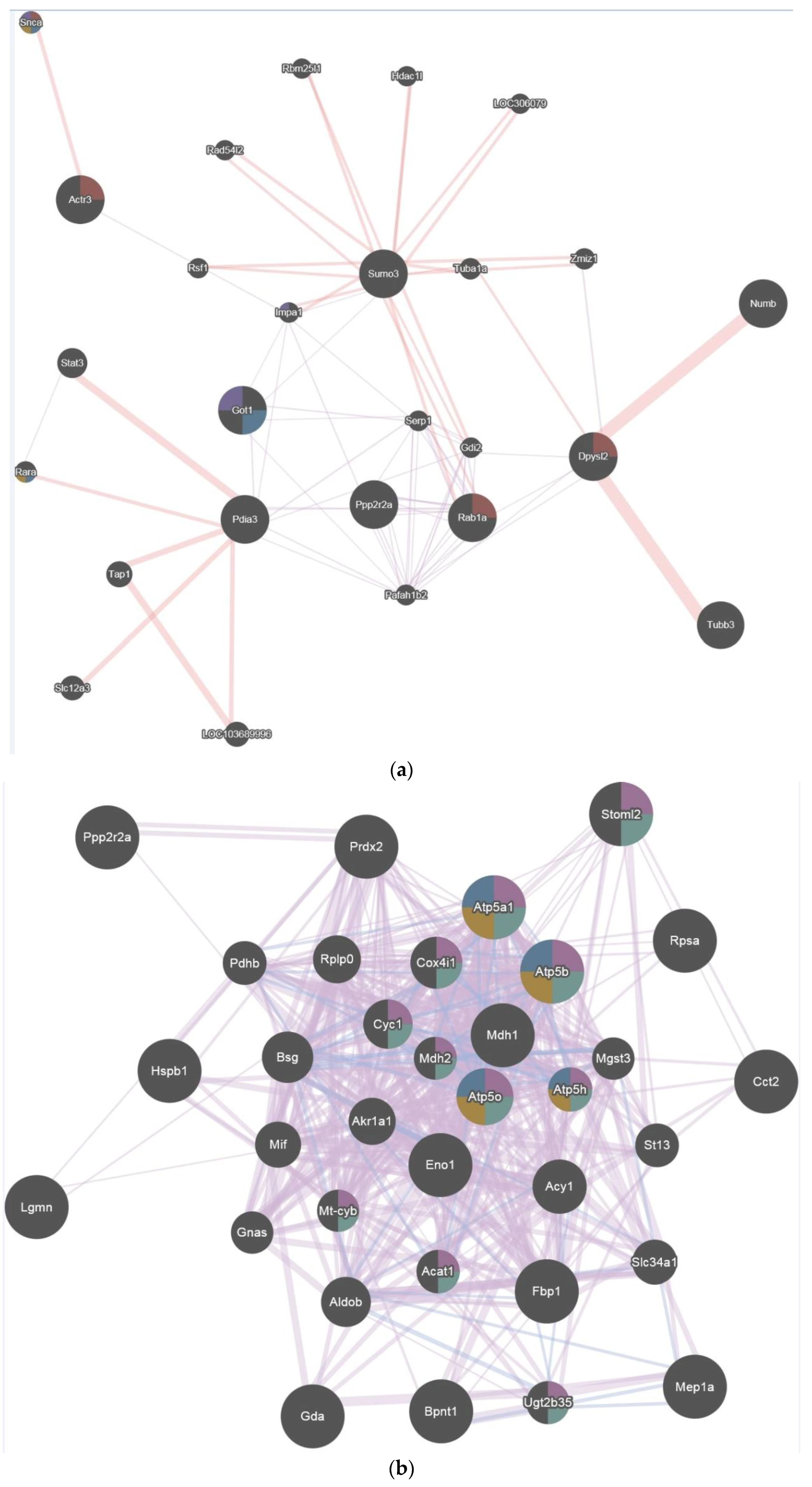 Ijms 19 01960 g004a Ijms 19 01960 g004a