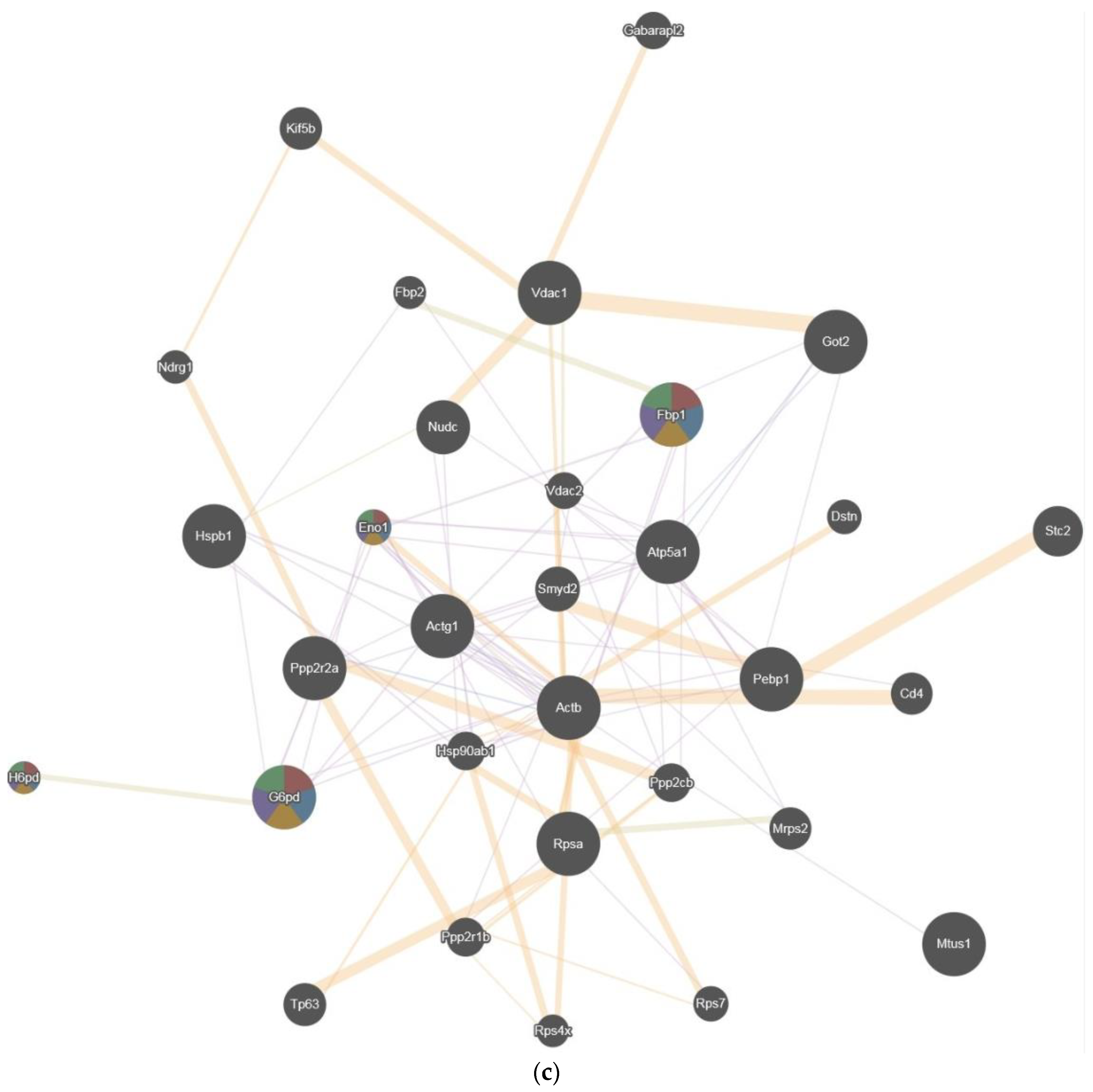 Ijms 19 01960 g004b Ijms 19 01960 g004b