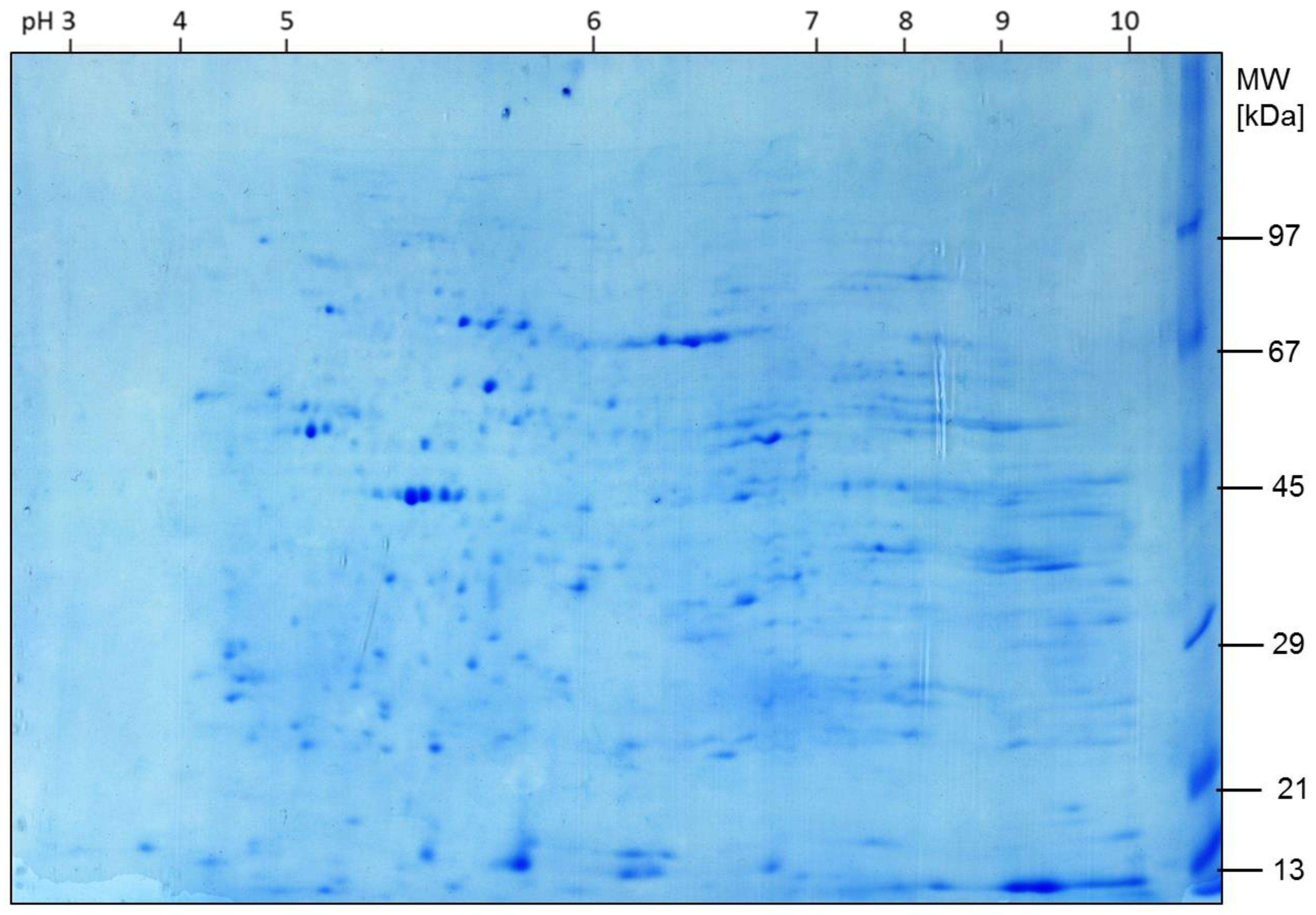 Ijms 19 01960 g006 Ijms 19 01960 g006