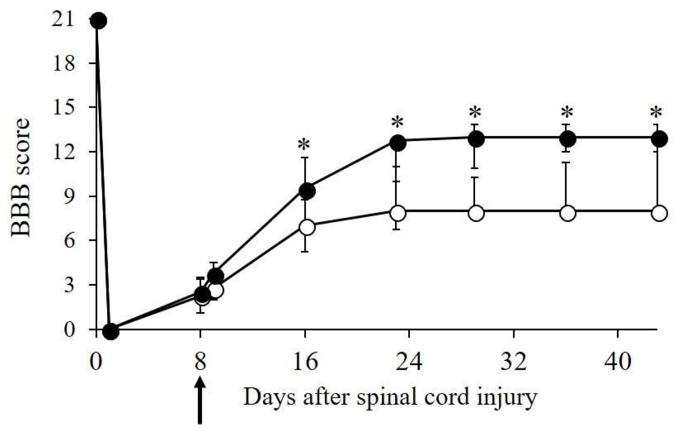 Ijms 19 01963 g005 Ijms 19 01963 g005